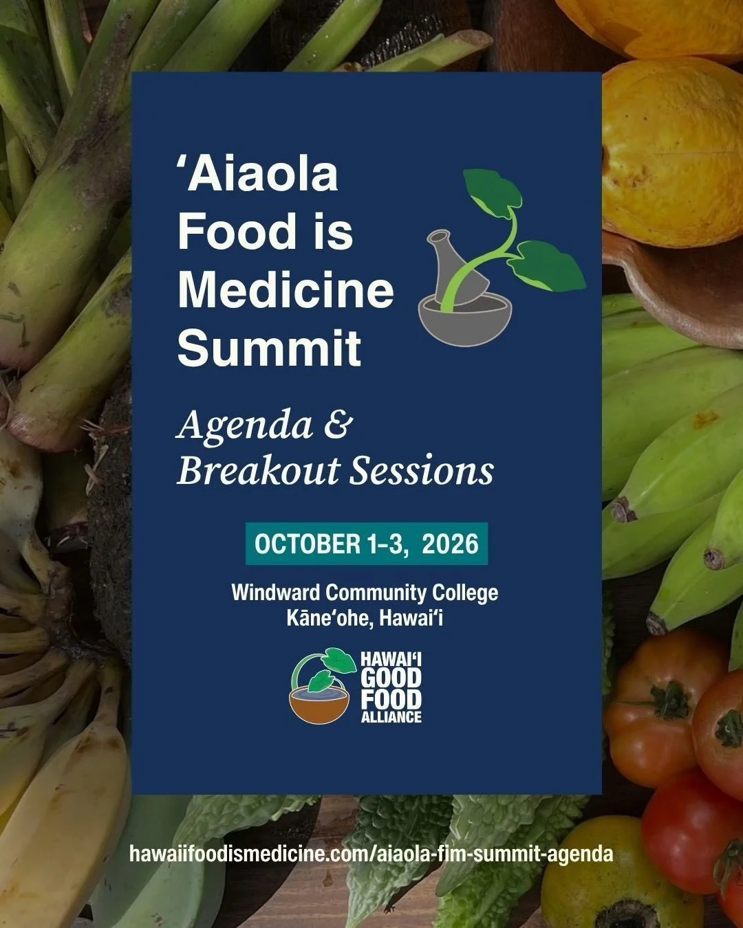 Our full ʻAiaola Food Is Medicine Summit agenda, breakout, and speaker information is live on our website!

Join us October 1&ndash;3 to hear from community practitioners, farmers, food aggregators, clinicians, and policy leaders&mdash;and explore ho