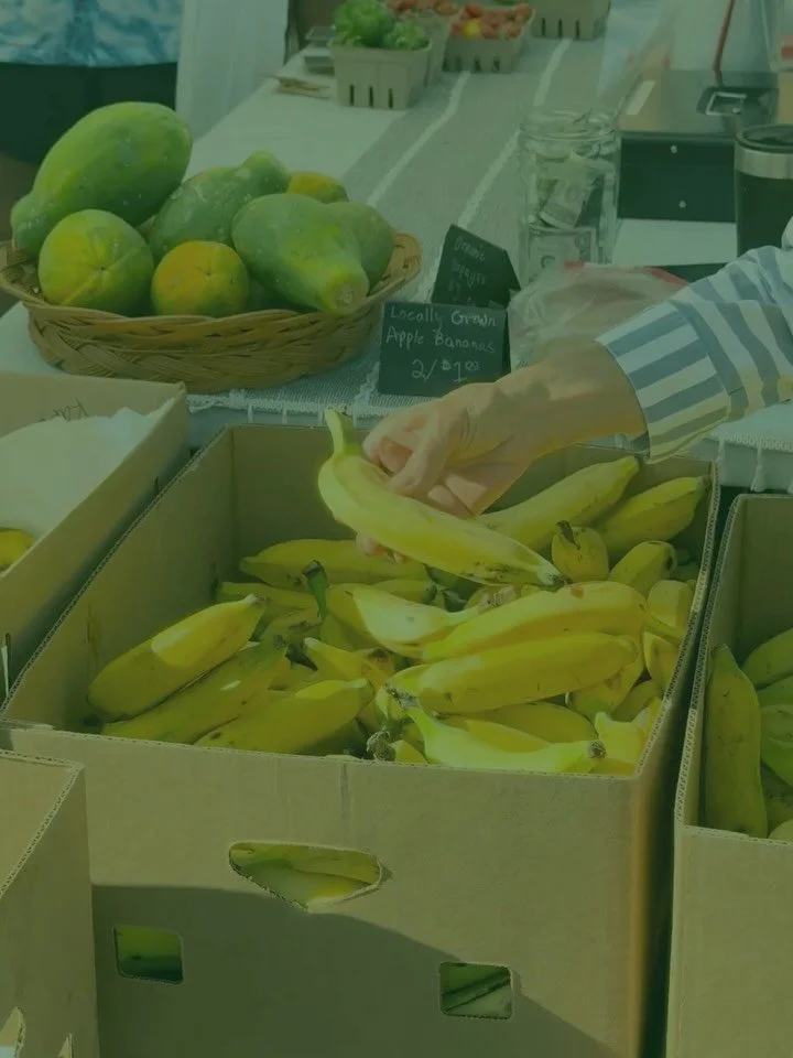 Please join us in supporting the right for communities across O&rsquo;ahu to access local food and support local farmers through the proposed Food Security Fund! Our partners at the Hawaiʻi Food Bank and the Food Security Coalition have worked dilige
