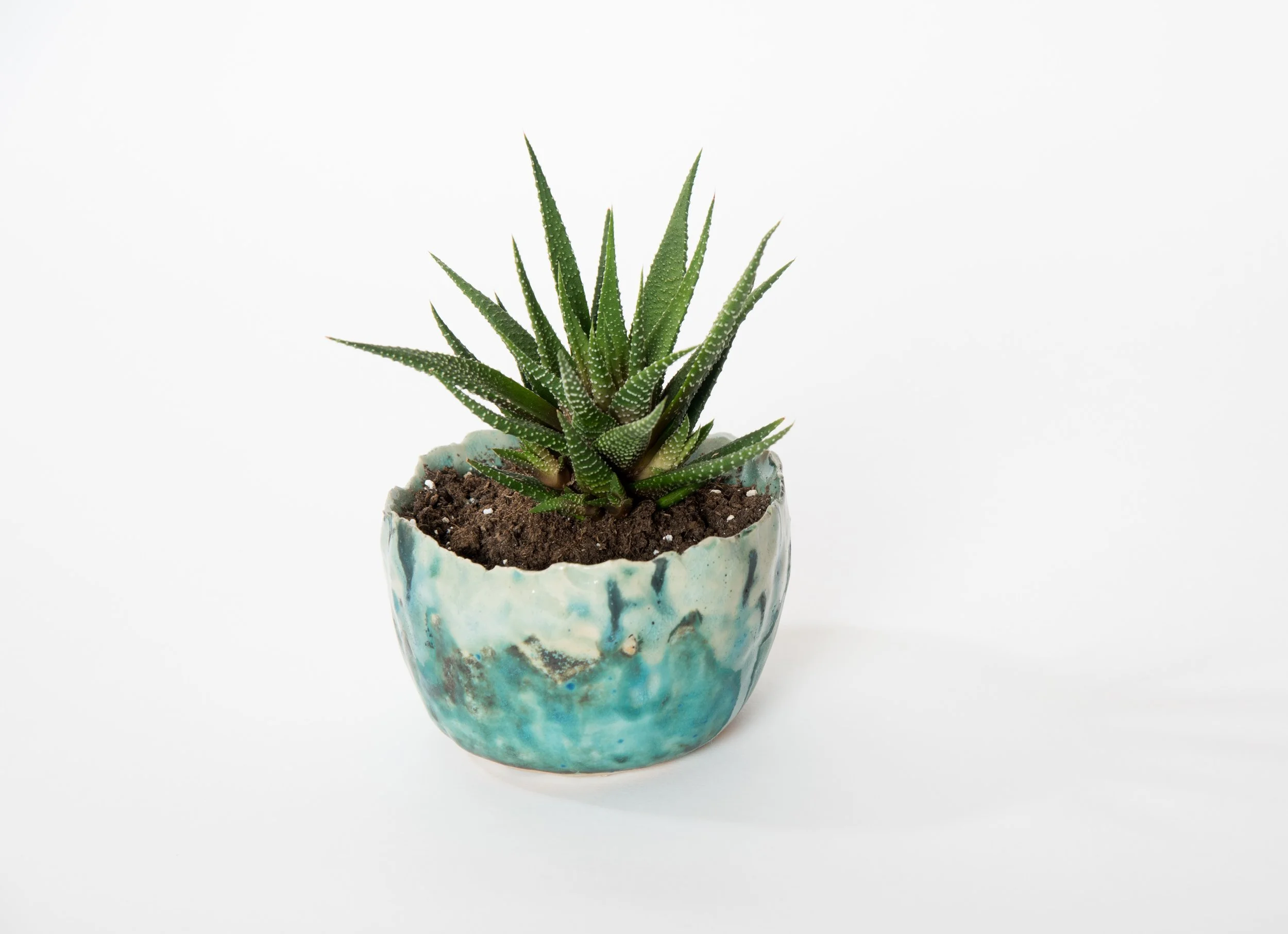 ShutterstockBasic_540037642.jpg (copie)