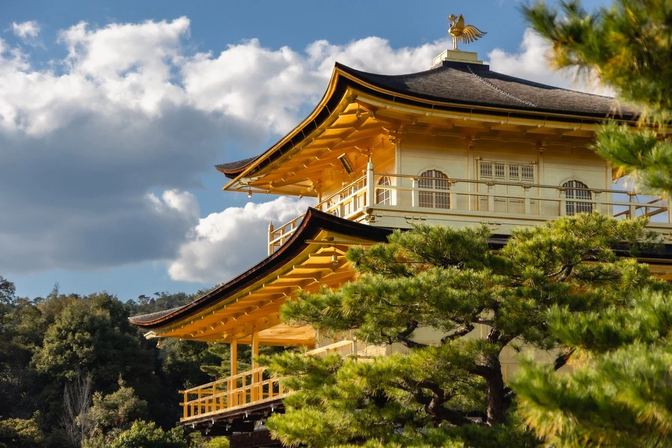 3X1A5721 copie 2.jpeg