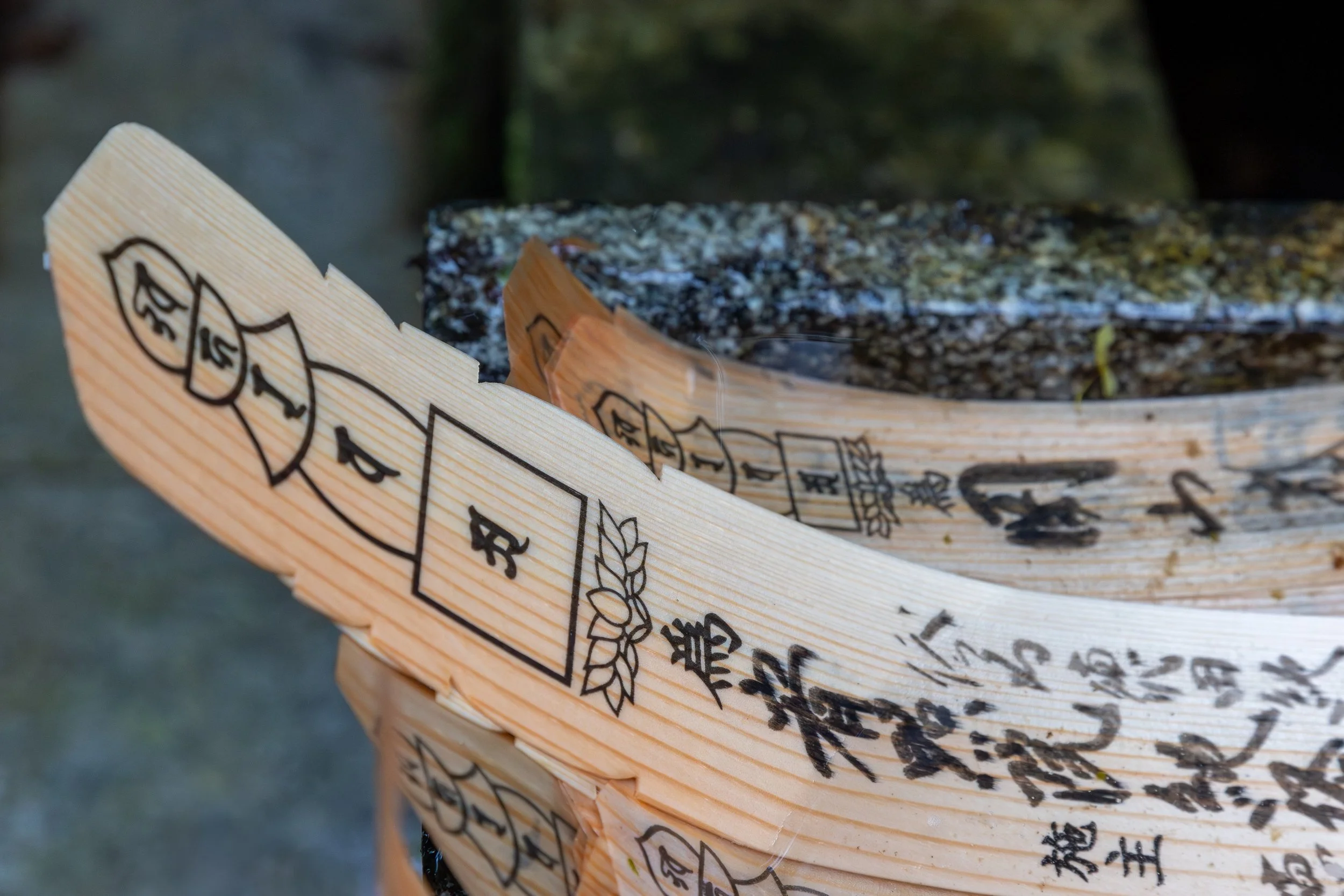 3X1A8029-Avec accentuation-Bruit.jpeg