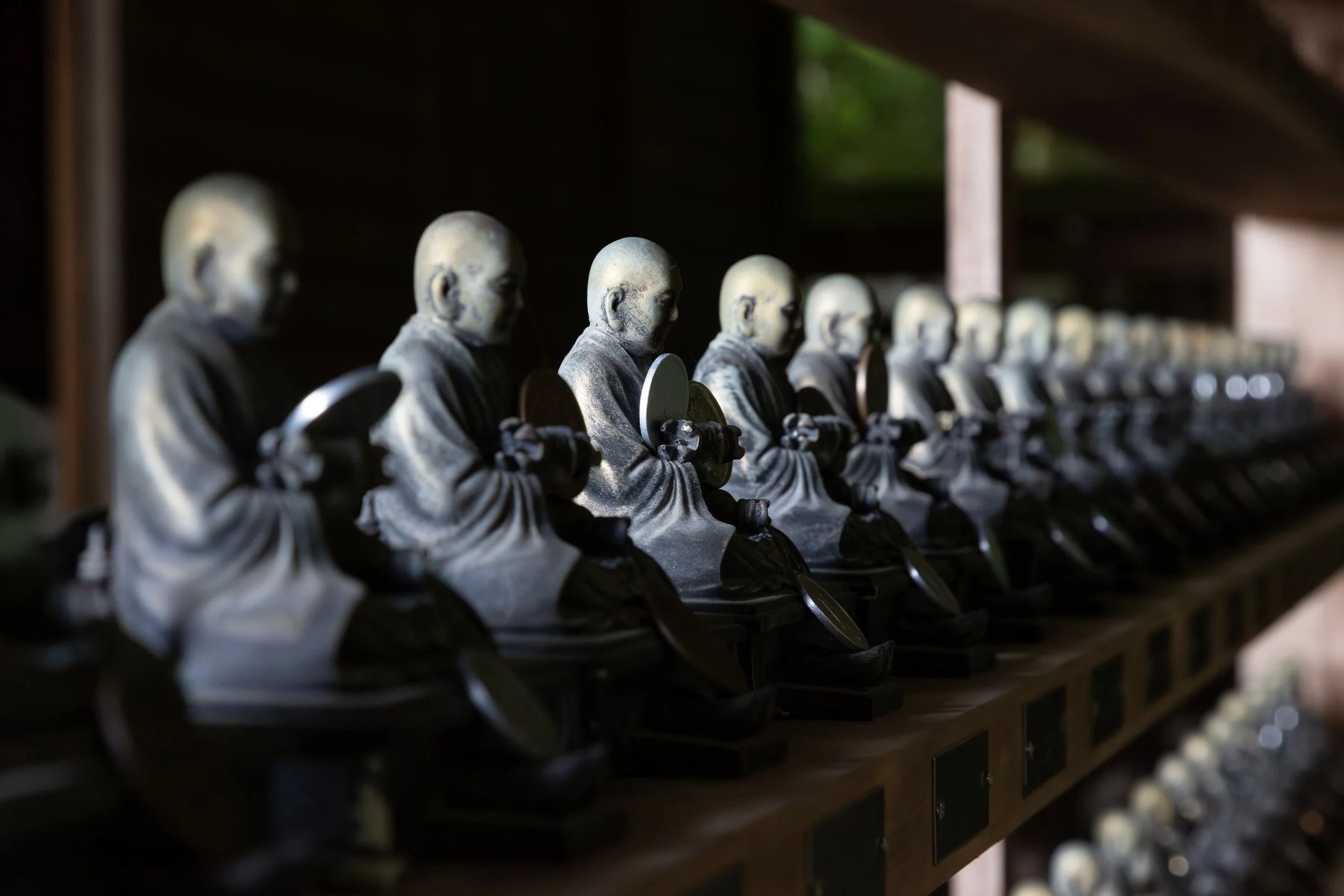 3X1A7704-Avec accentuation-Bruit.jpeg