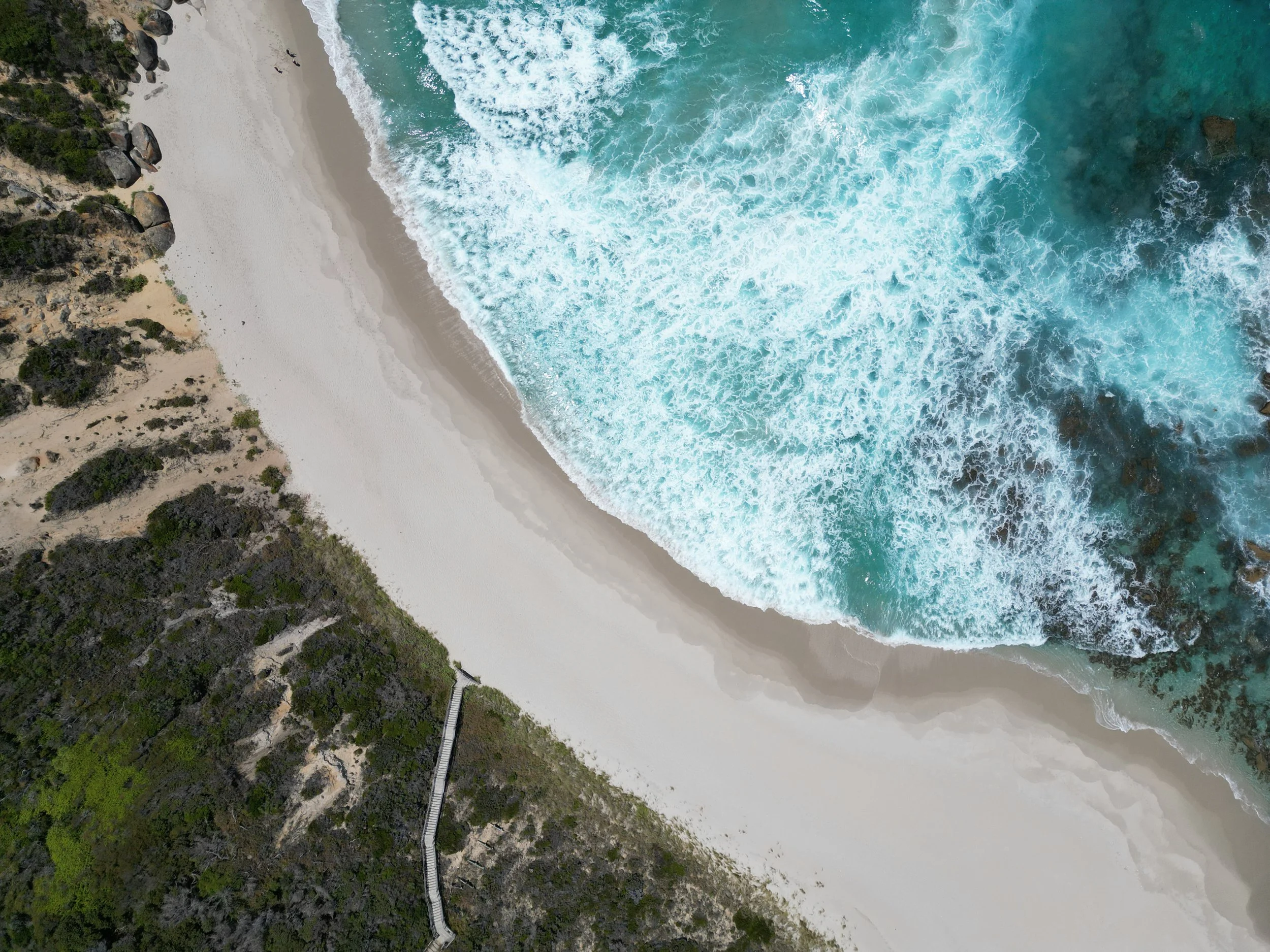 DJI_0137.jpg