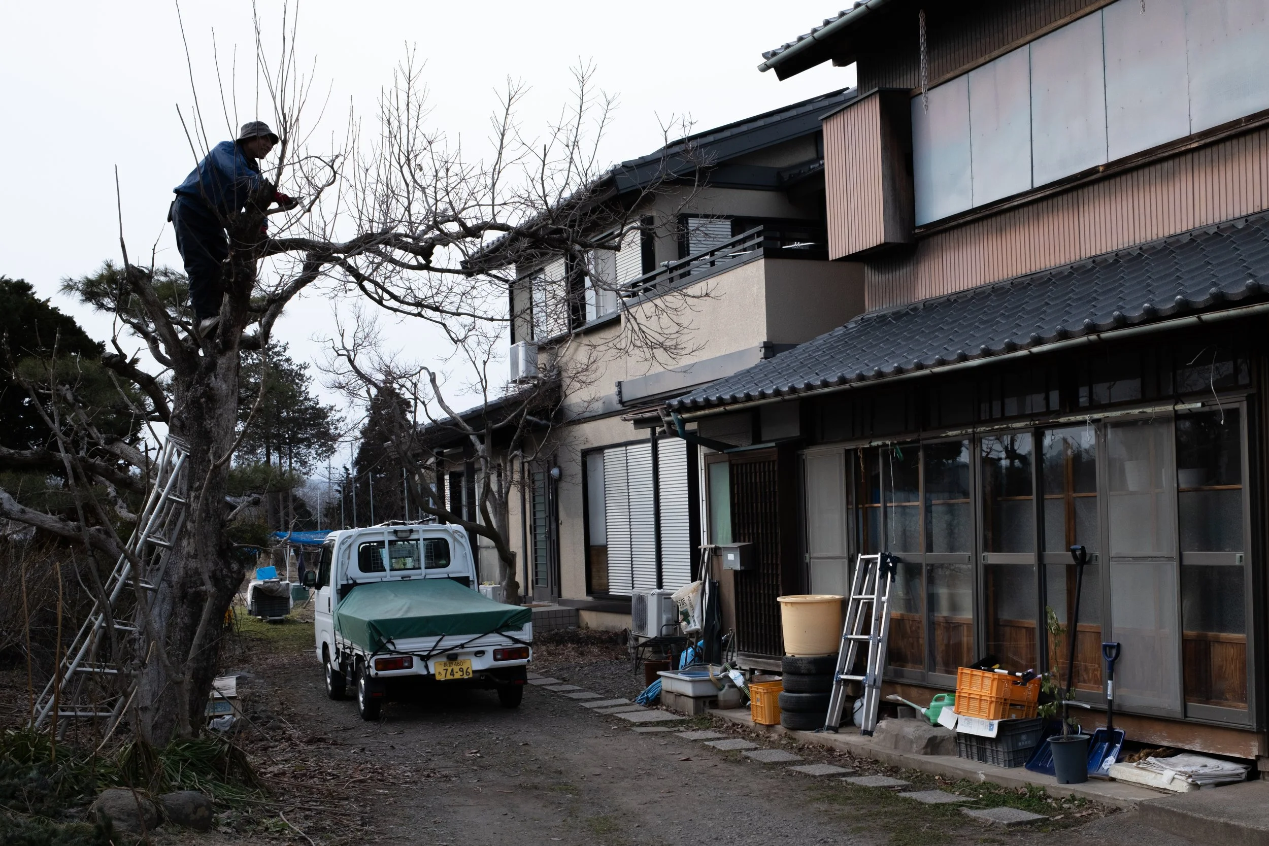 Hakuba_2026_Feb_F_7084.jpg