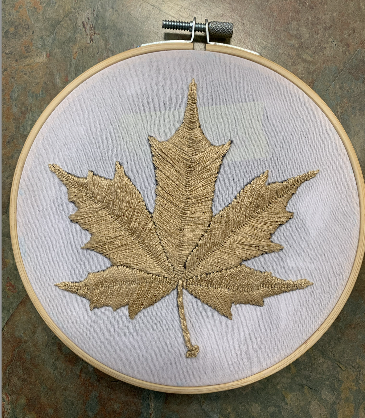 Screen Shot 2026-01-28 at 12.39.30 PM.png