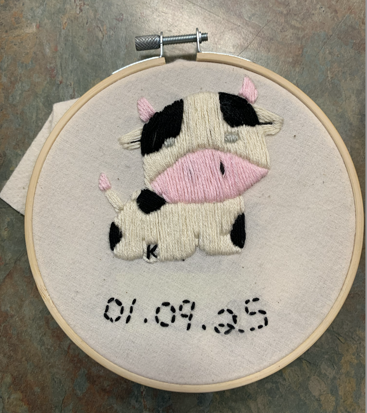 Screen Shot 2026-01-28 at 12.40.21 PM.png