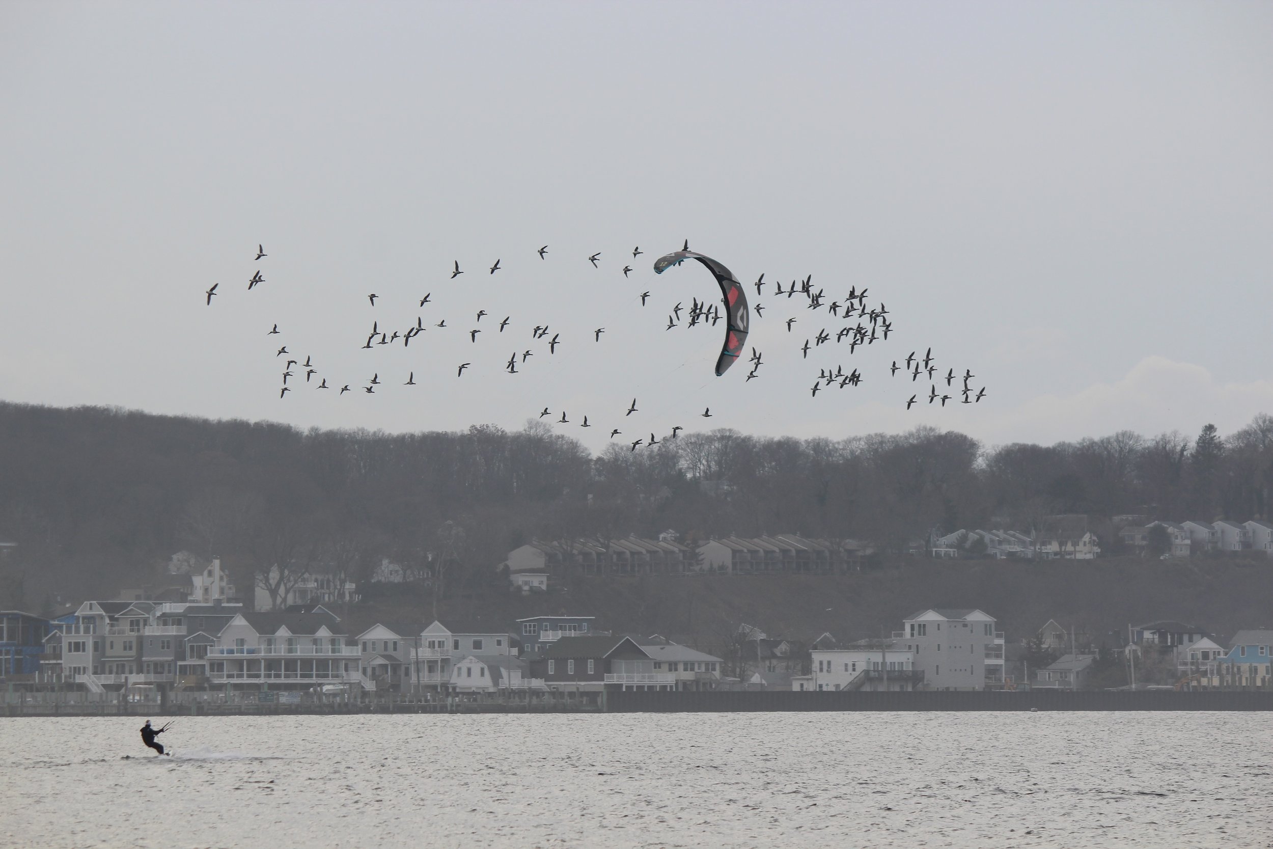 windsurfer.jpg