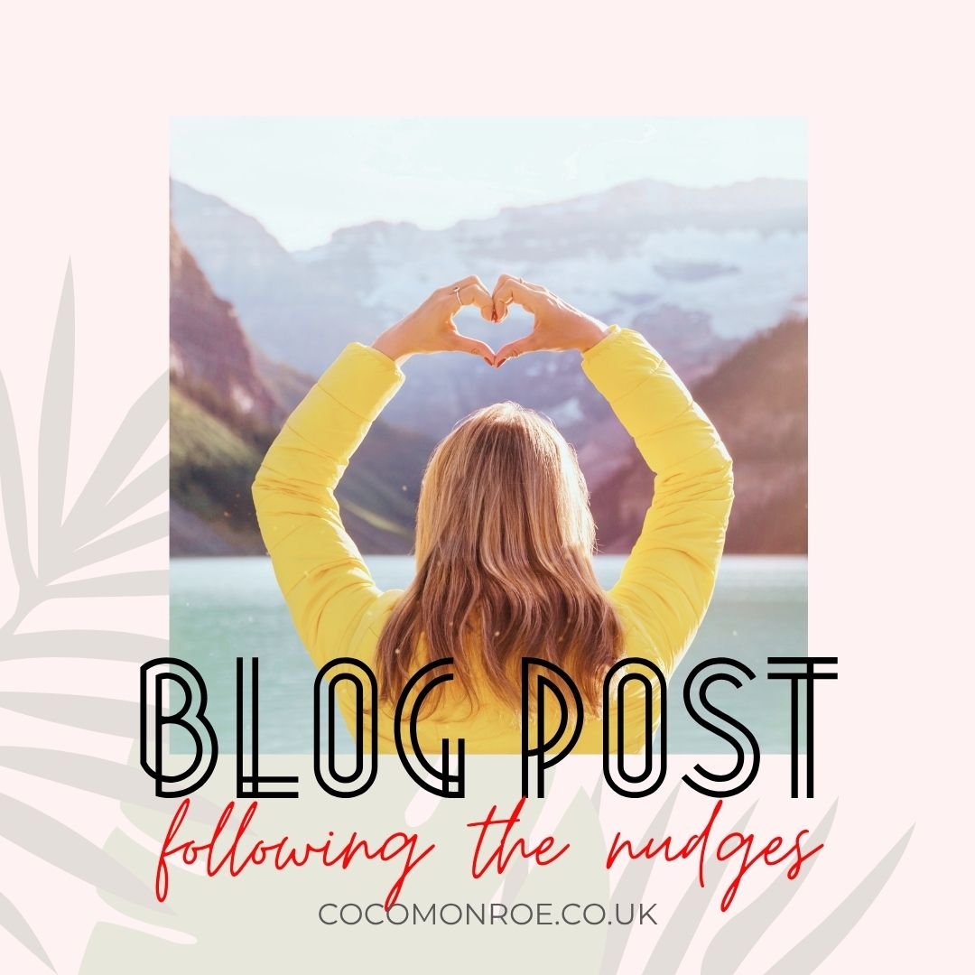 Following The Nudges