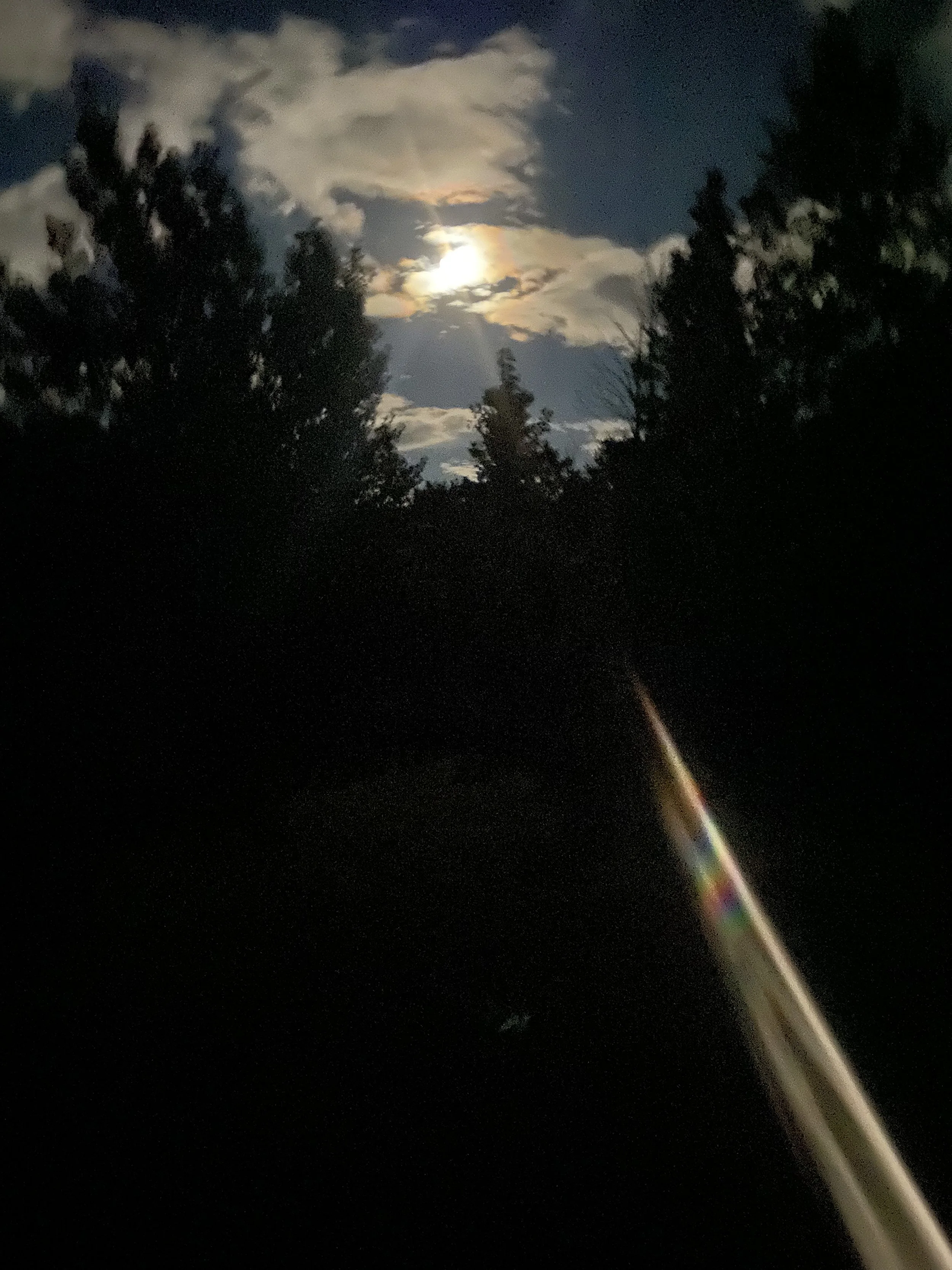 IMG_9166.jpeg