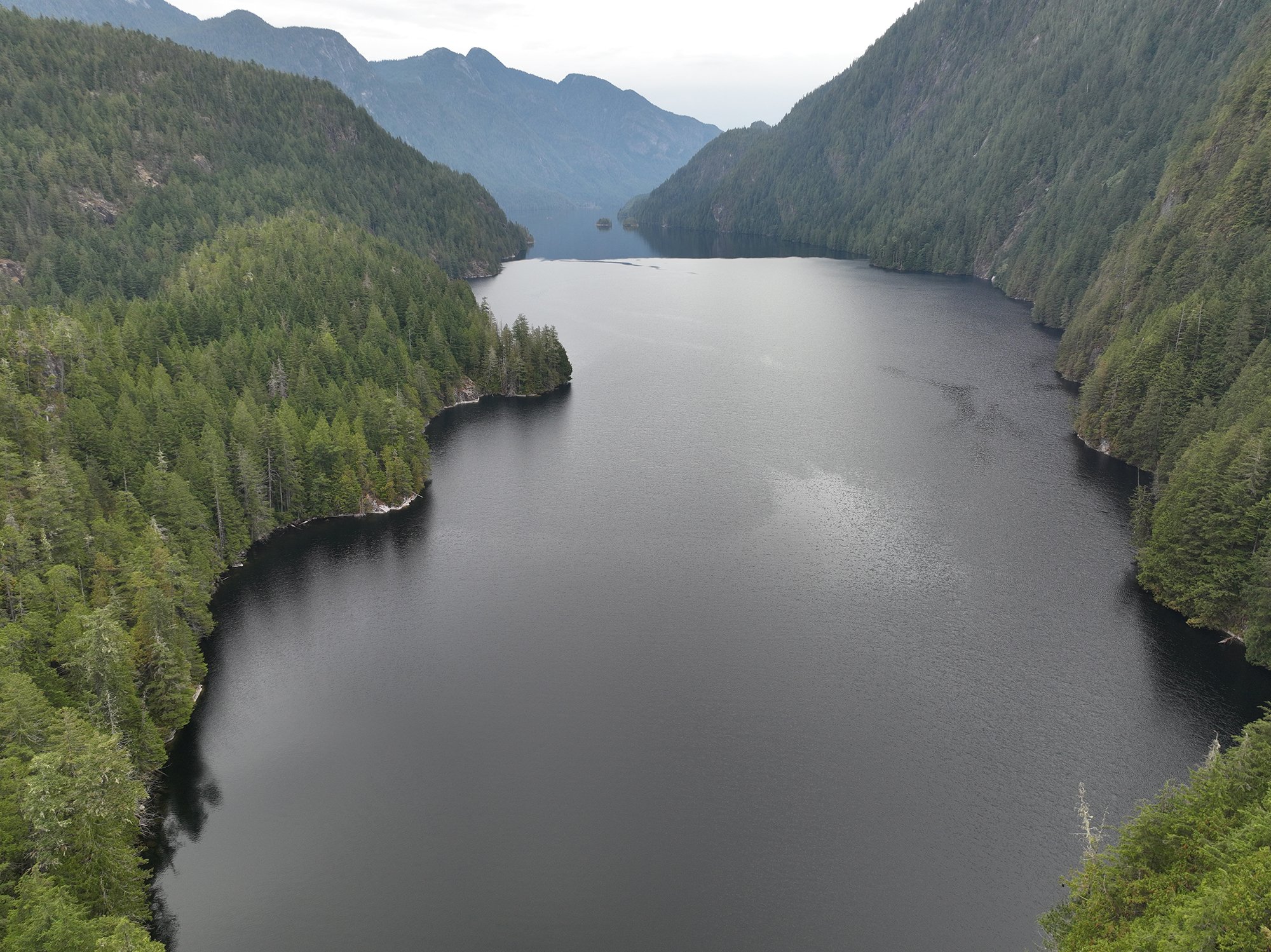 a huge, grey inlet surrounded by forested mountains