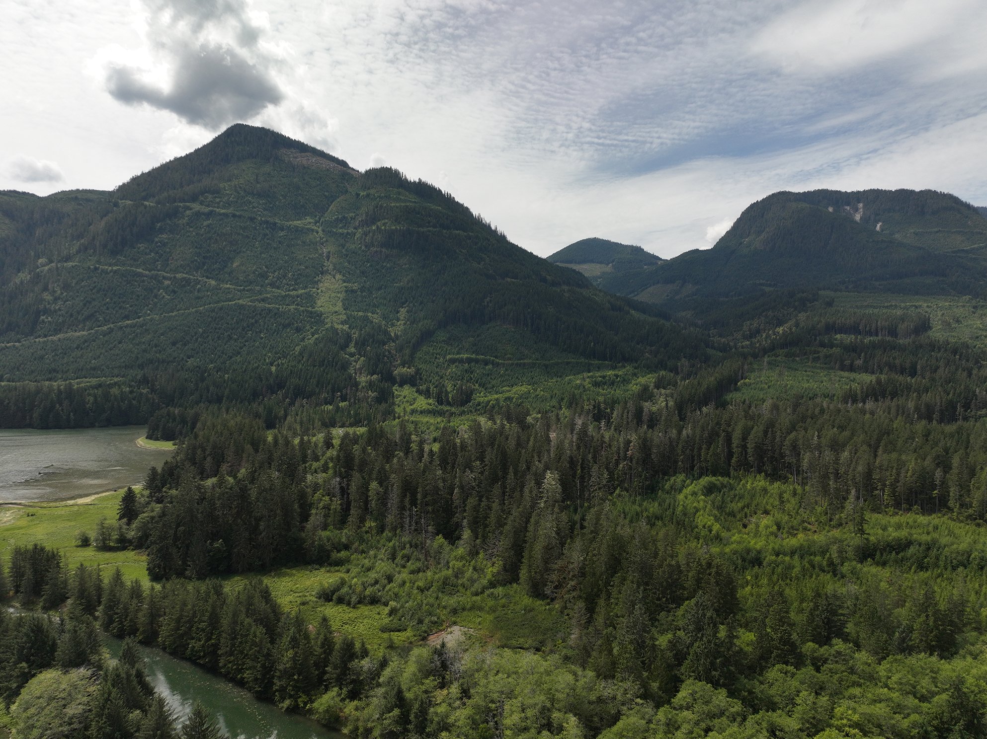 Beautiful, green, rolling forests leading up to a big mountain on the left and a little mountain on the right. It's cloudy.