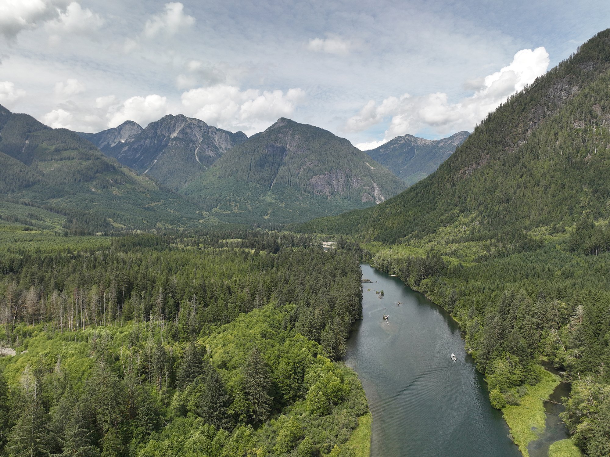 A river cutting vertically through coastal rainforest and mountains. The water is dark grey blue, and the sky is cloudy