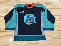 Sheffield Steelers