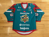 Belfast Giants