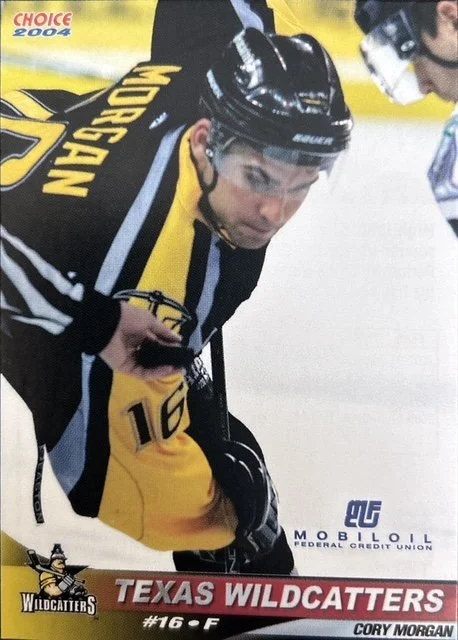 Dundee Stars