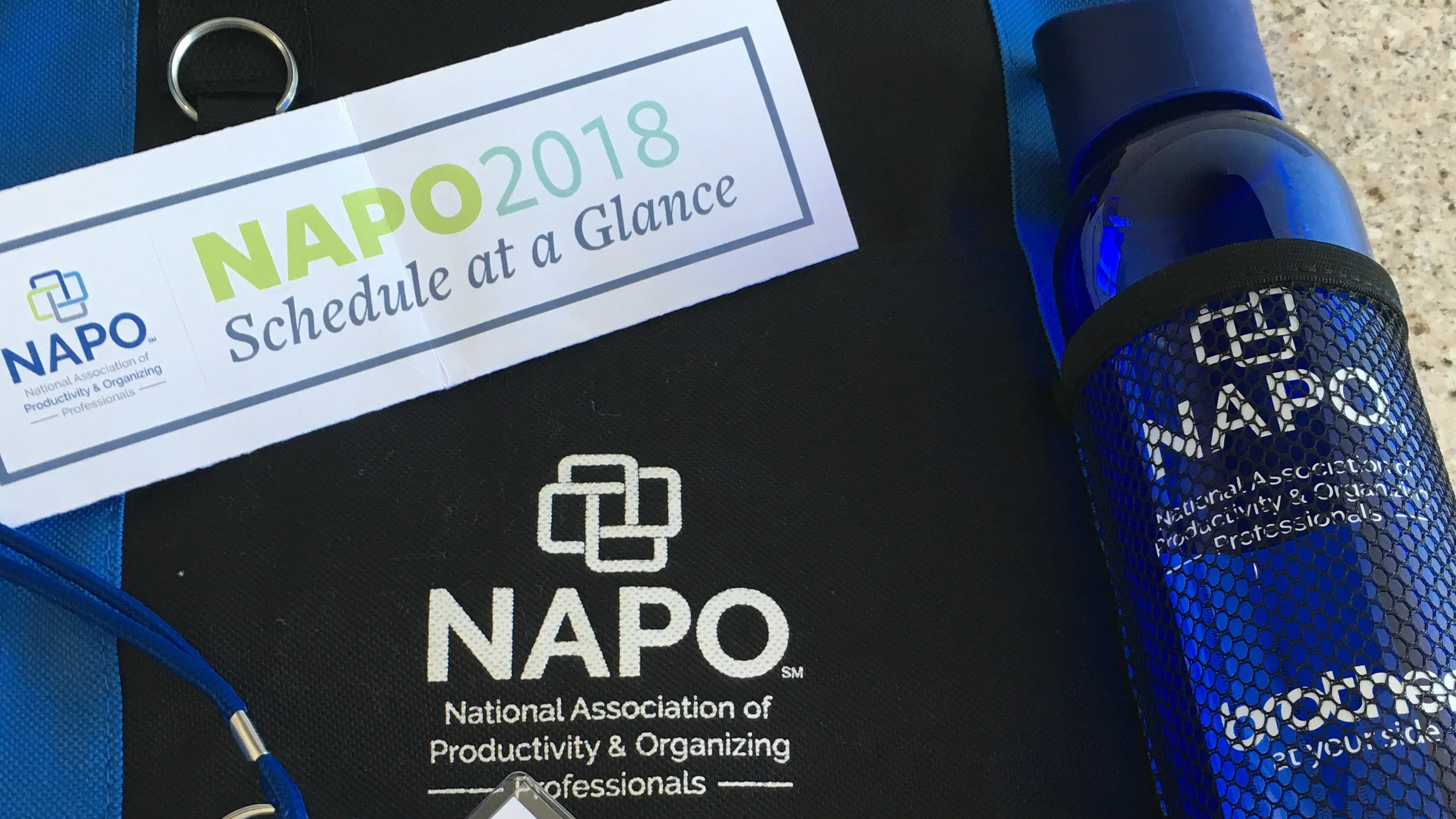 Defining Your Success: NAPO2018 Conference