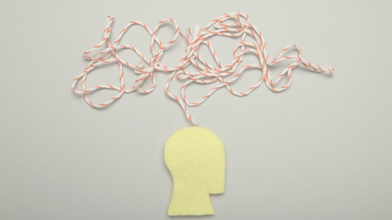 Executive Function: A Beginner’s Guide