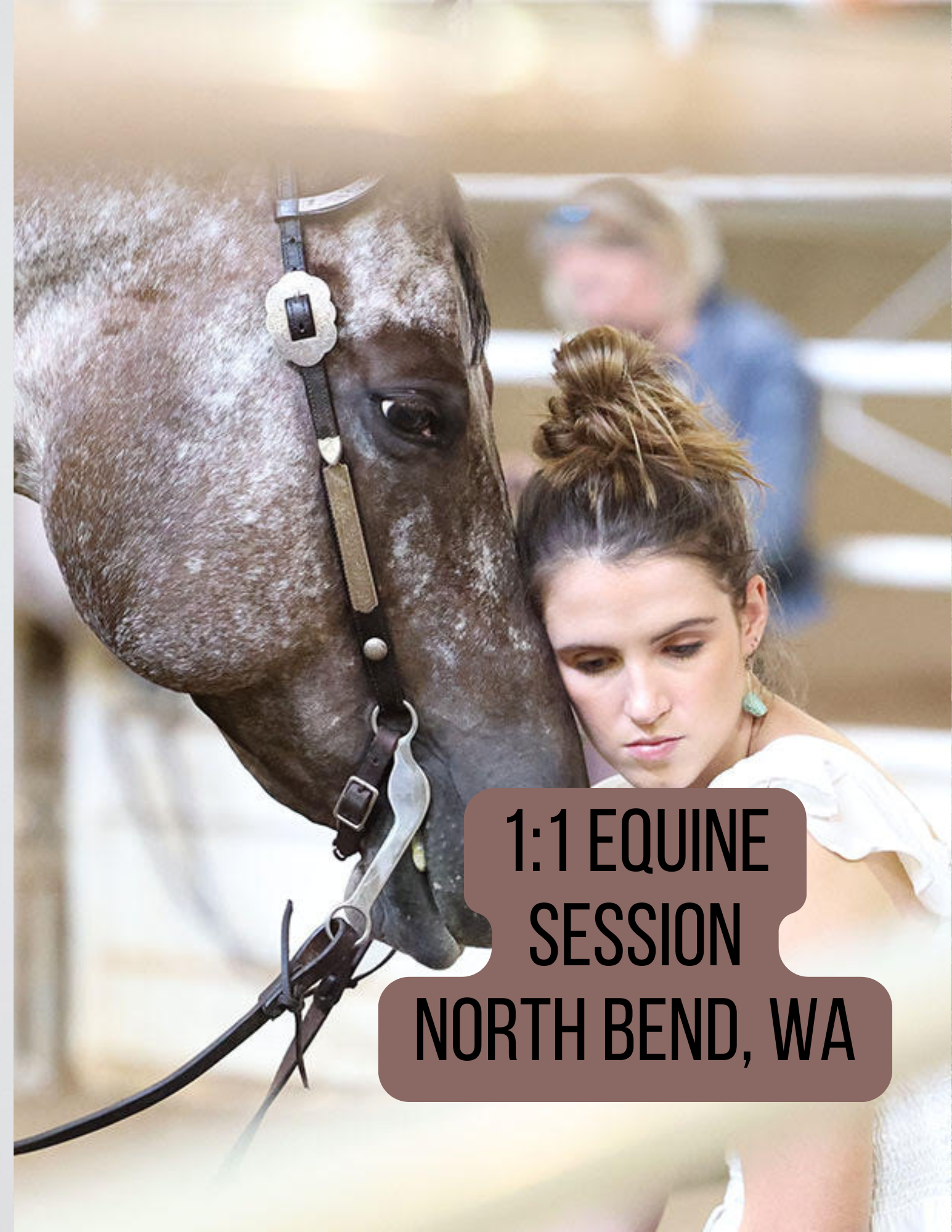 11 Equine Session.png