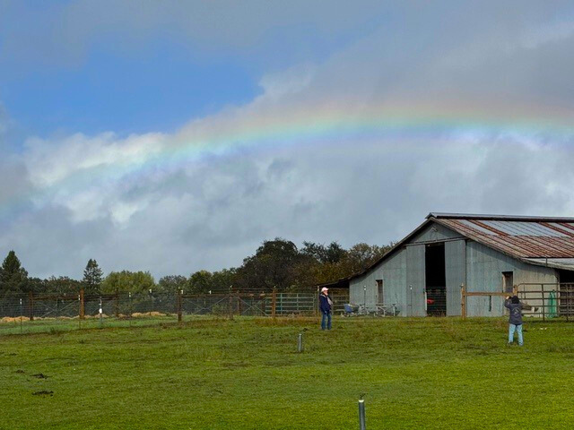 From Resistance To Rainbows