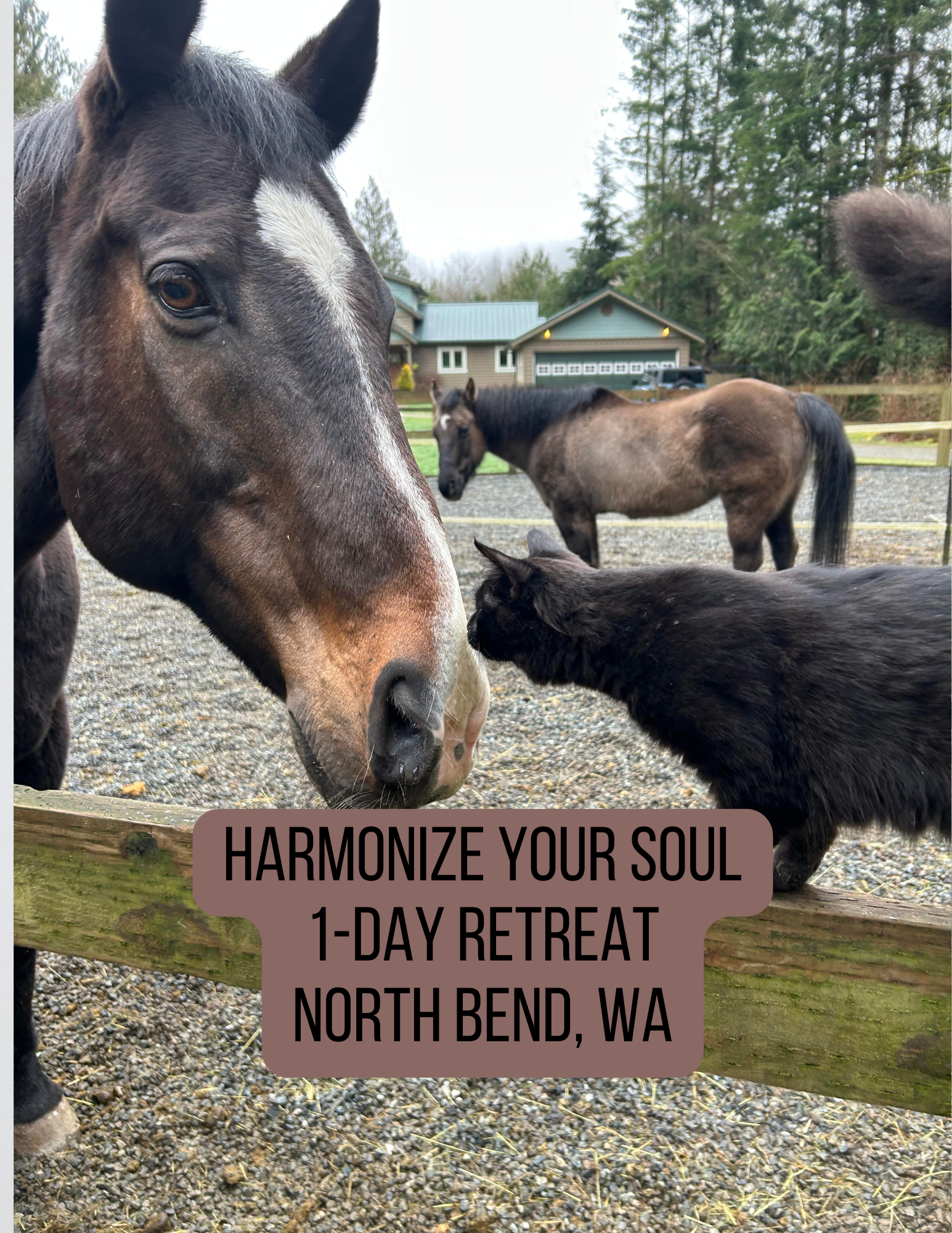 Harmonized Soul 9.13.26.png
