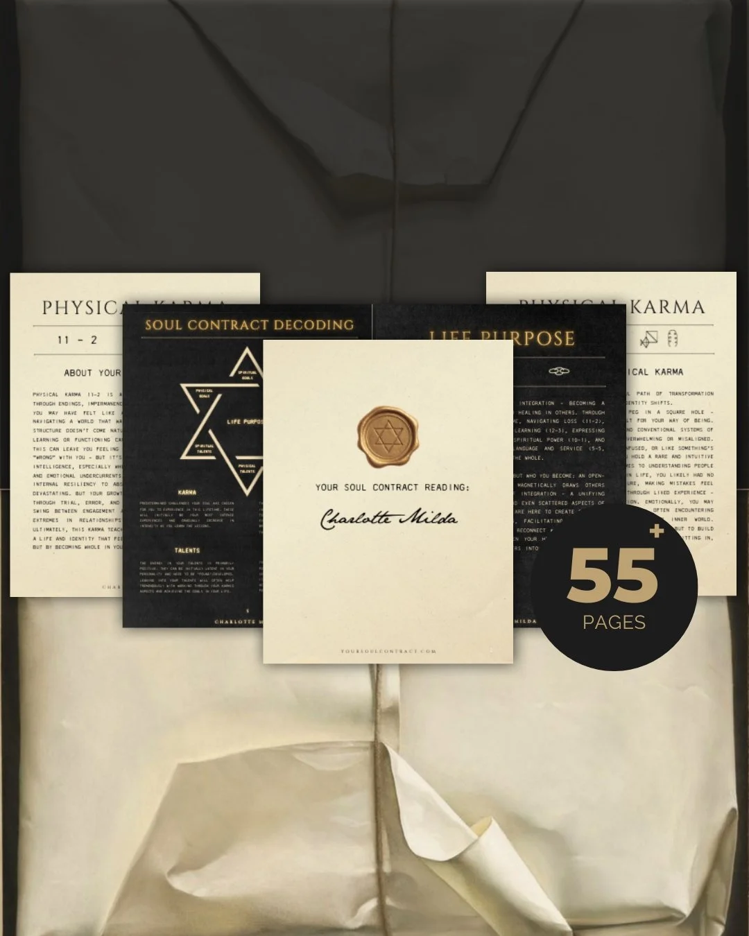 Untitled design (5).jpg