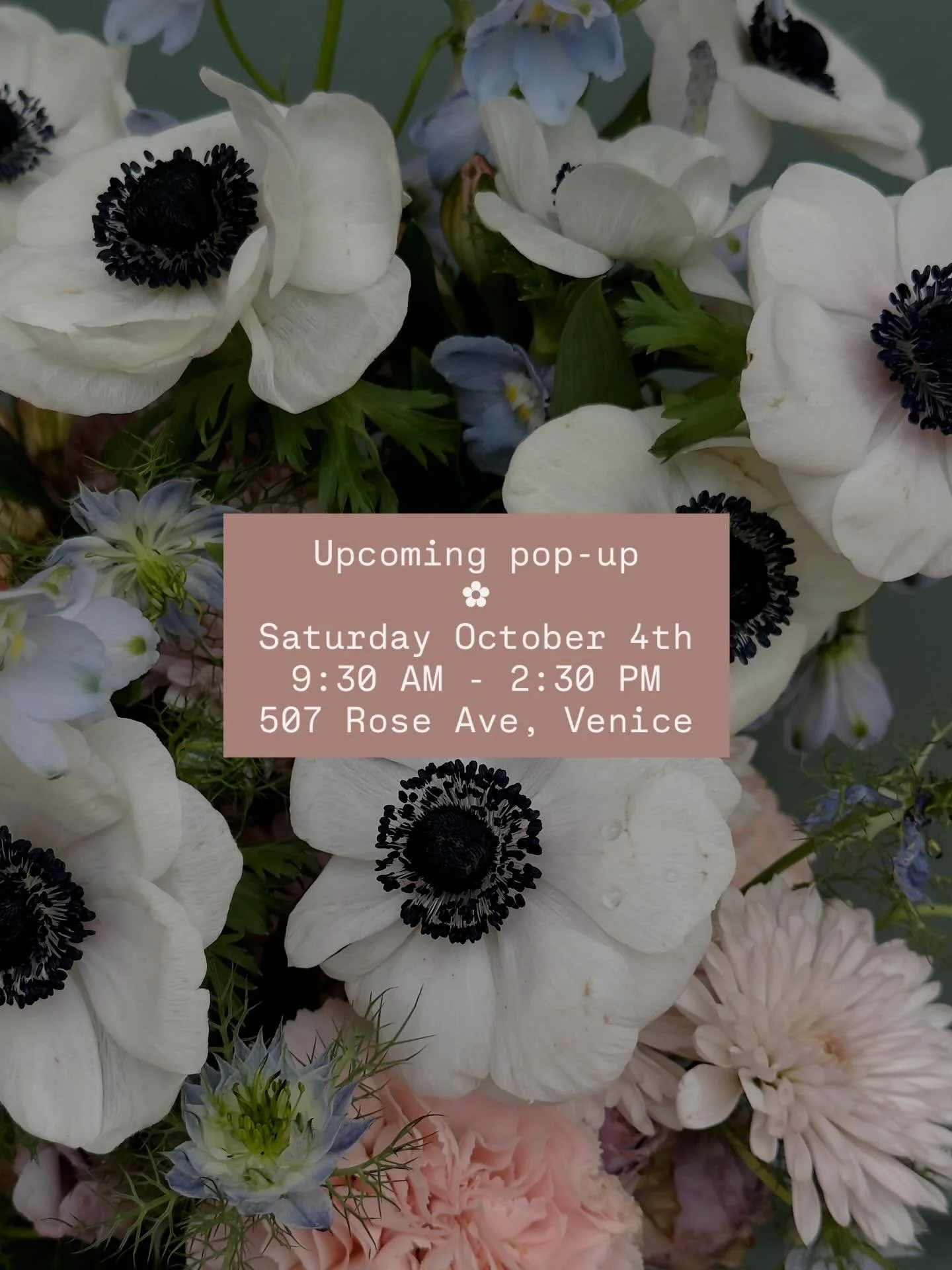 See you this weekend! ✿

- Build your own bouquet 
- Premade grab and go

9:30 AM - 2:30 PM
507 Rose Ave, Venice 

#theyellowflowertruck #eventflorist #thingstodoinlosangeles #thingstodoinla #santamonica #venicebeach #flowertruck