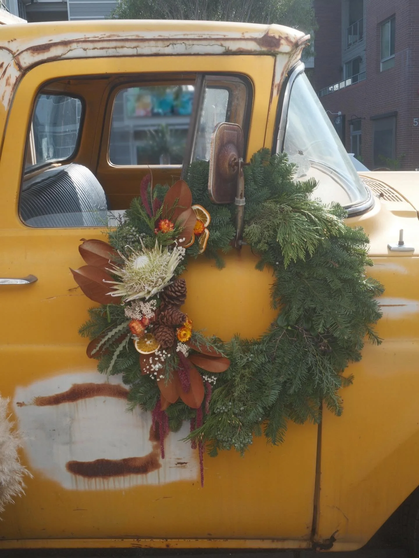 Kicking off December the best way with fresh holiday wreaths. ✨
Order yours for delivery or pick up at my Rose Ave pop-up this Saturday (12/6)
Limited supply, message me to order ahead 

Large 27&rdquo; &ndash; $125
Medium 23&rdquo; &ndash; $100
Smal