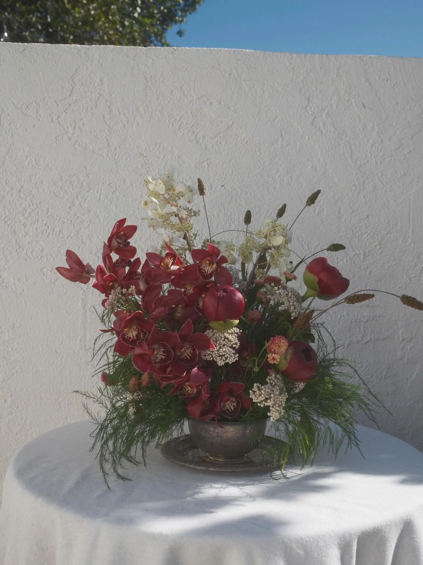 Backyard engagement celebrations ❤️