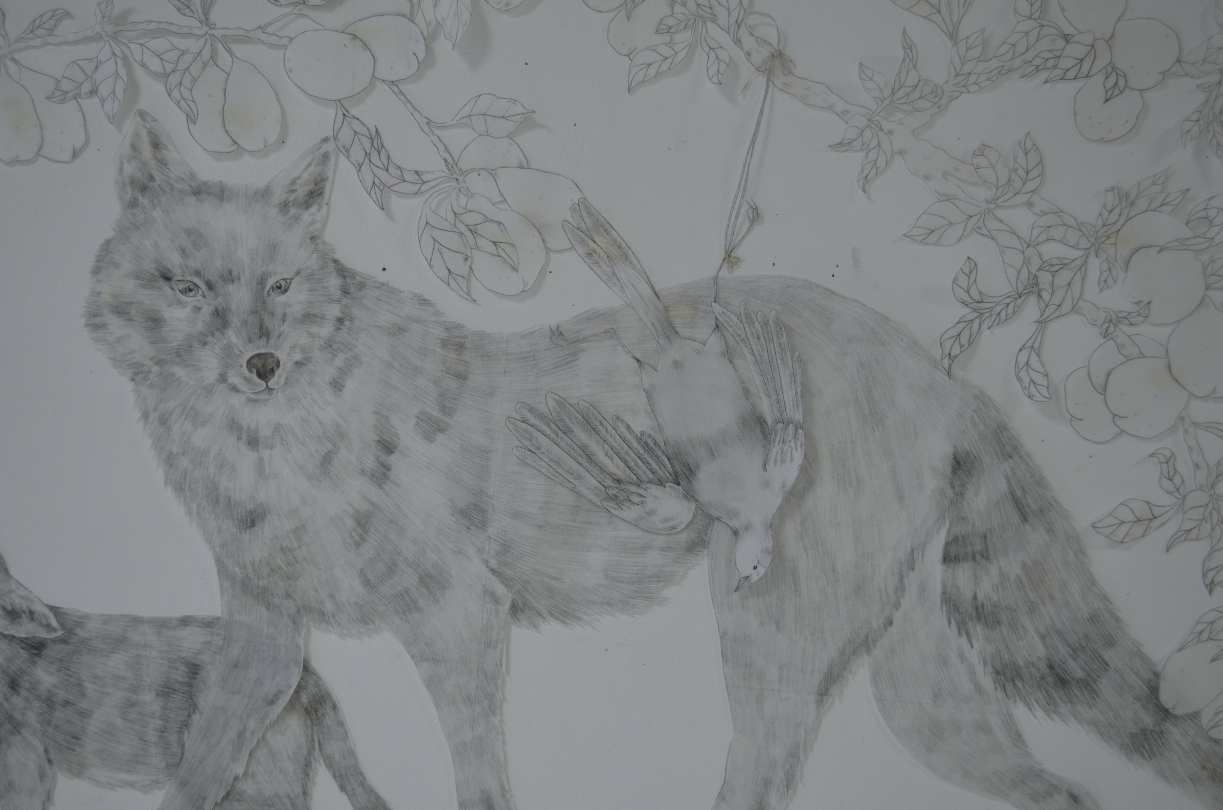 Coyote in the Garden of Good and Evil