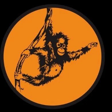 Orangutan Applause Sustainable Tourism Borneo, Kalimantan.