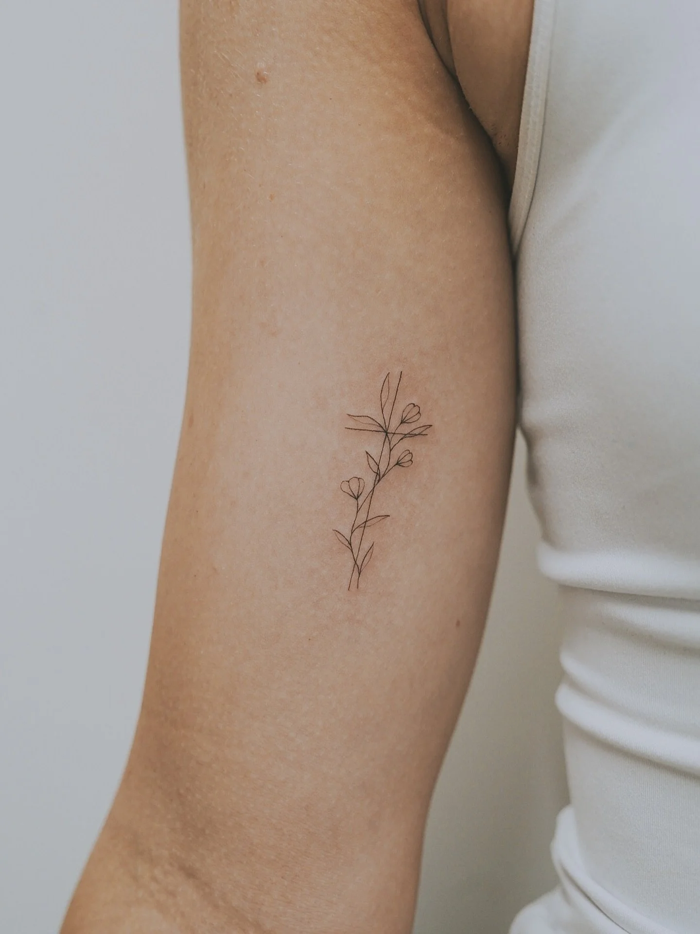 Dainty and fine 🌱

DM @calmyourtats to book 🫶
.
.
.
#crosstattoo #christiantattoo #cross #thecross #simplecrosstattoo #crosstattoo #reverence #reverencetattoo #reverencetattoooakleigh #melbournetattoostudio  #melbournetattoos #tattooartists #christ