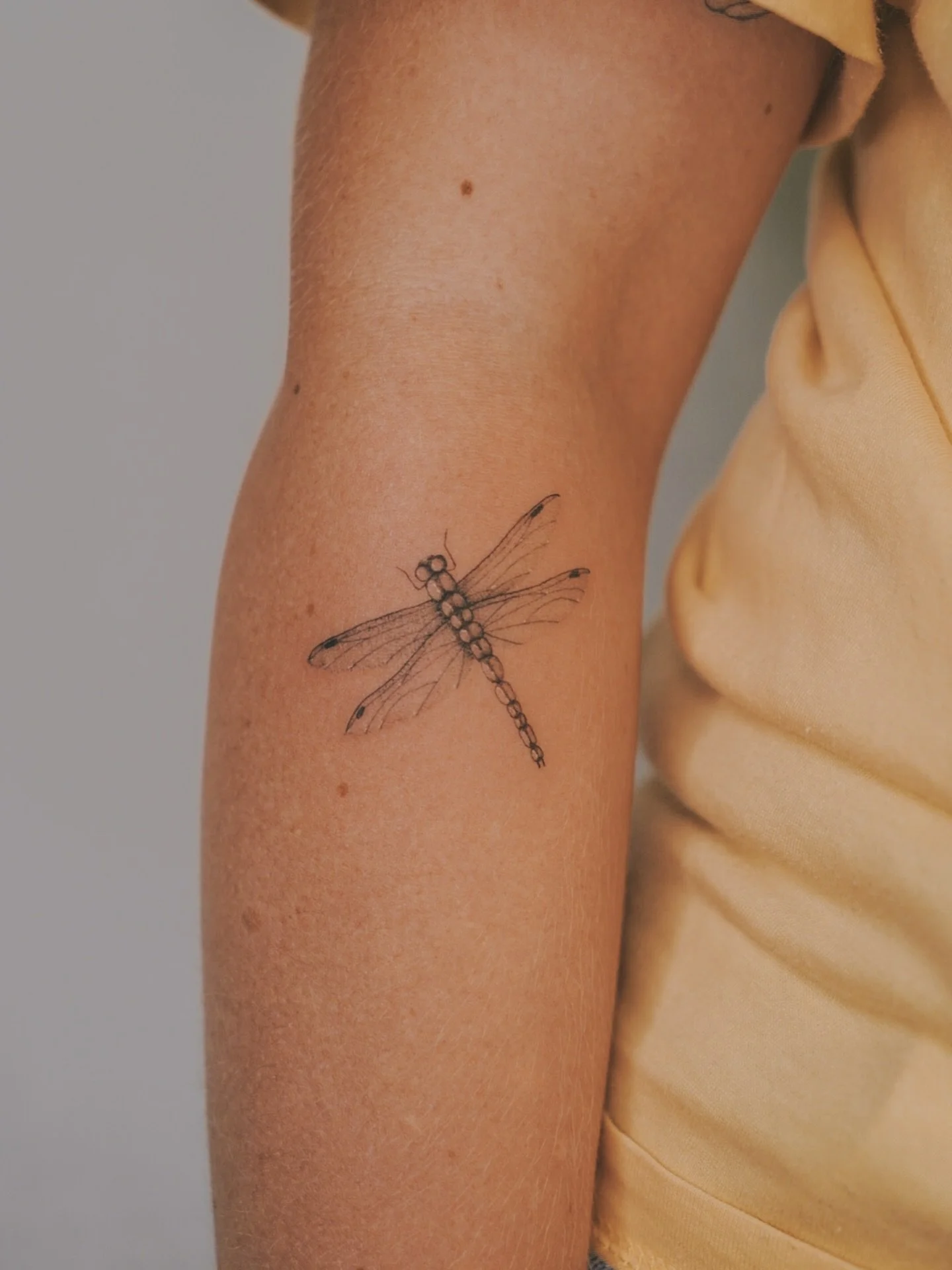 Fun lil dragonfly for @jazbink ⭐️

✨DM @calmyourtats to book your next tat ✨
.
.
.
#melbournetattoo #melbournefinelinetattoo #finelinetattoos #dragonflytattoo #finelinetattoo
