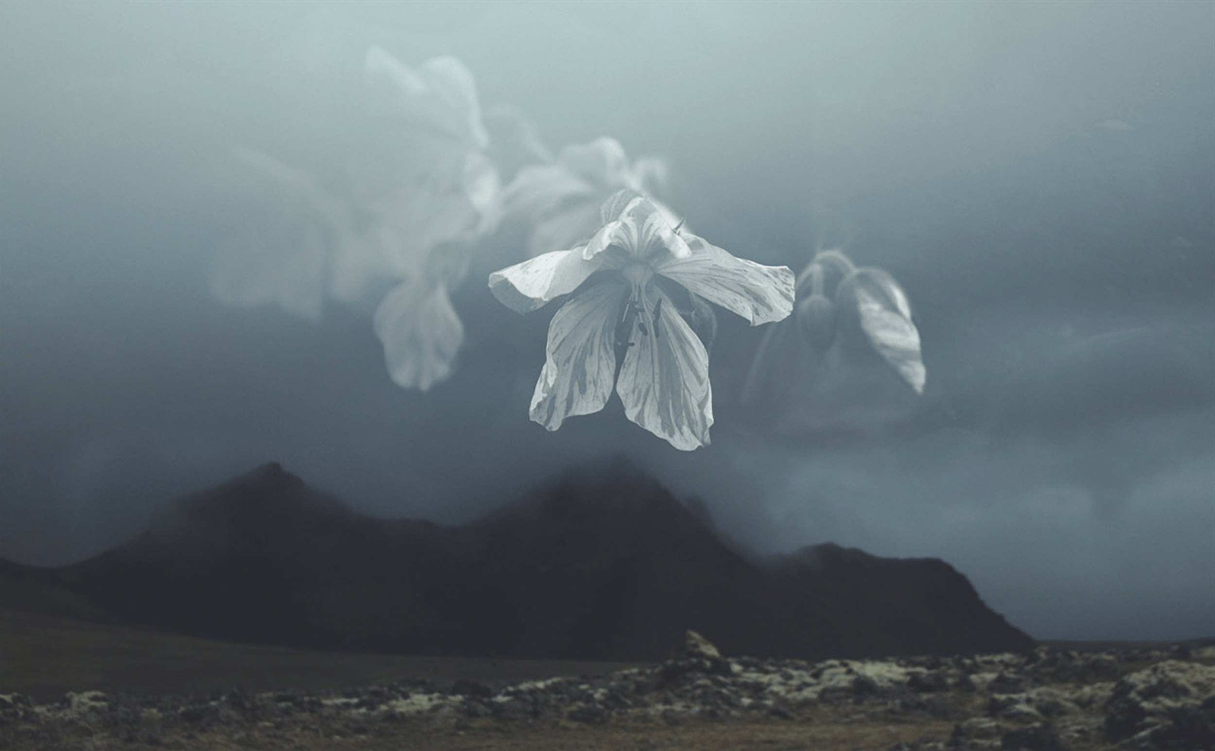 Iceland-Collage-2.png