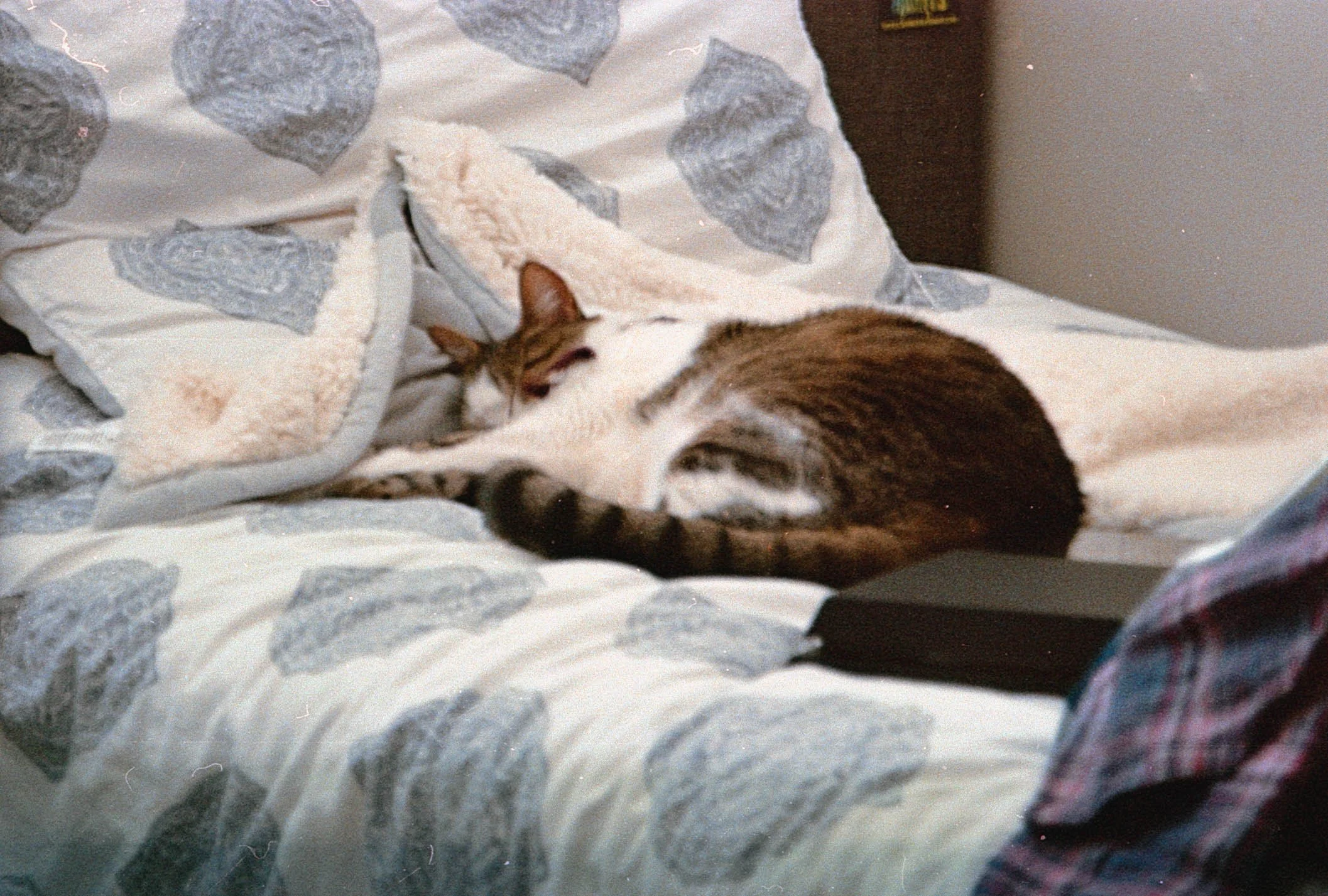 20220501-film1334.jpg