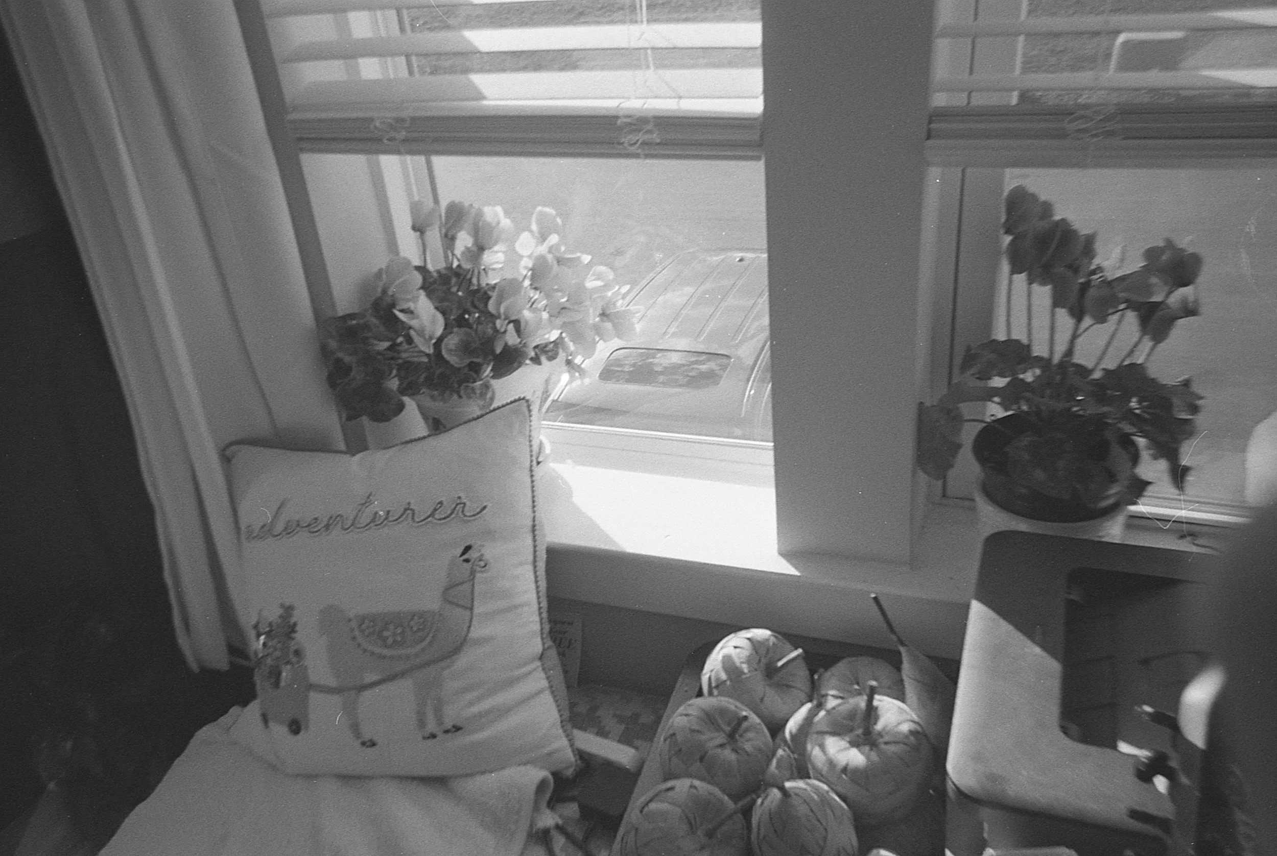 img010.jpg