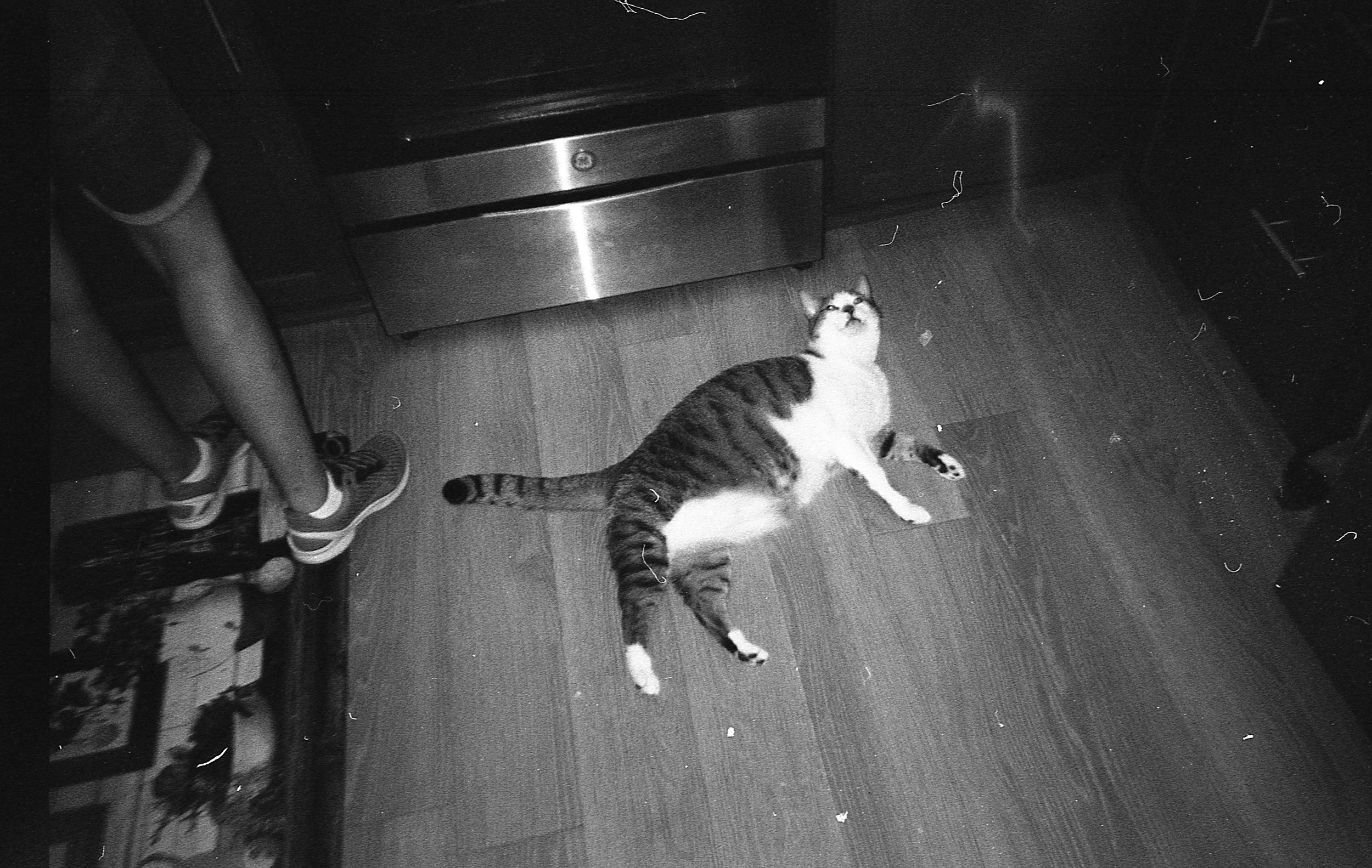 img078.jpg