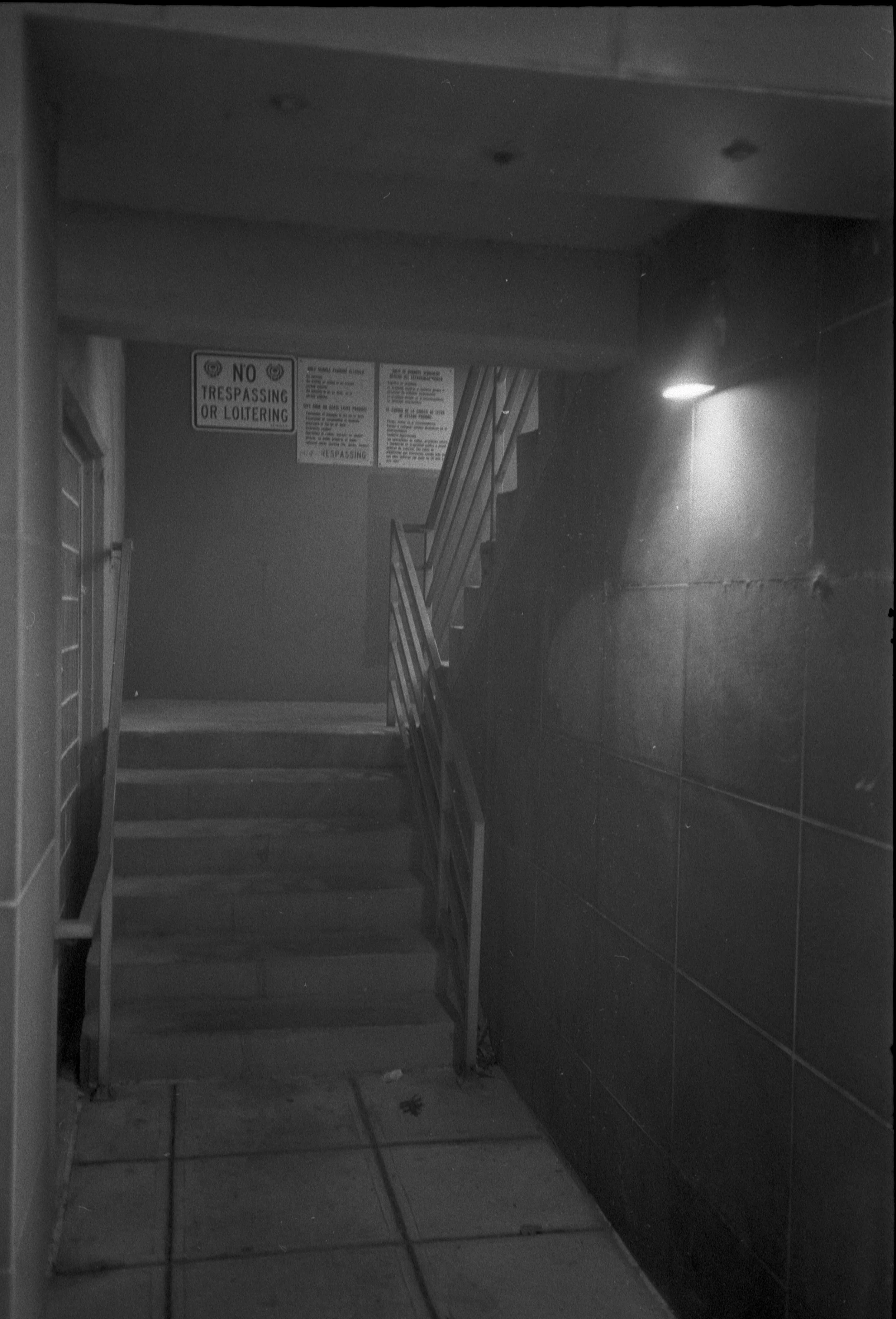 film13251223.jpg