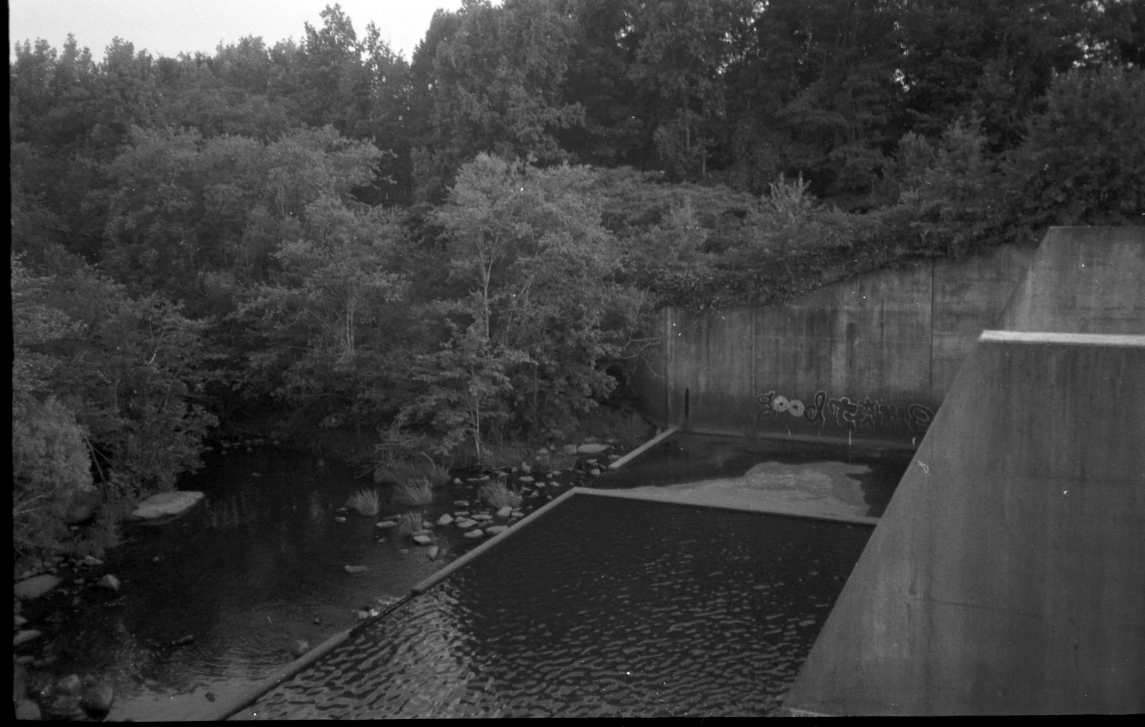 scan4.jpg