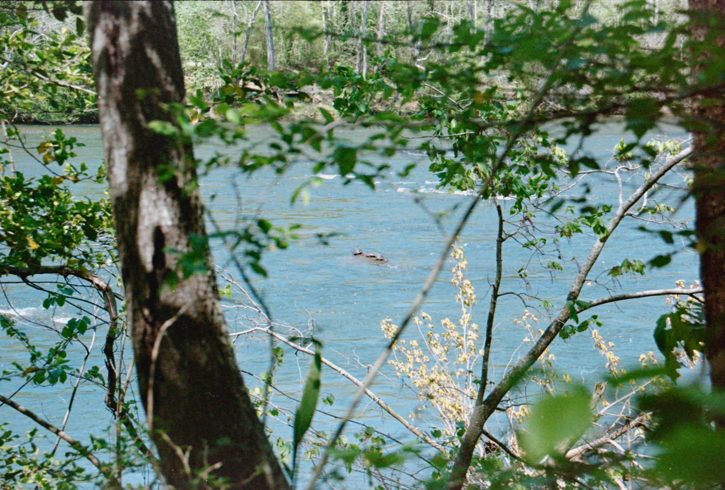 20220501-film19-gamma-1.8.jpg