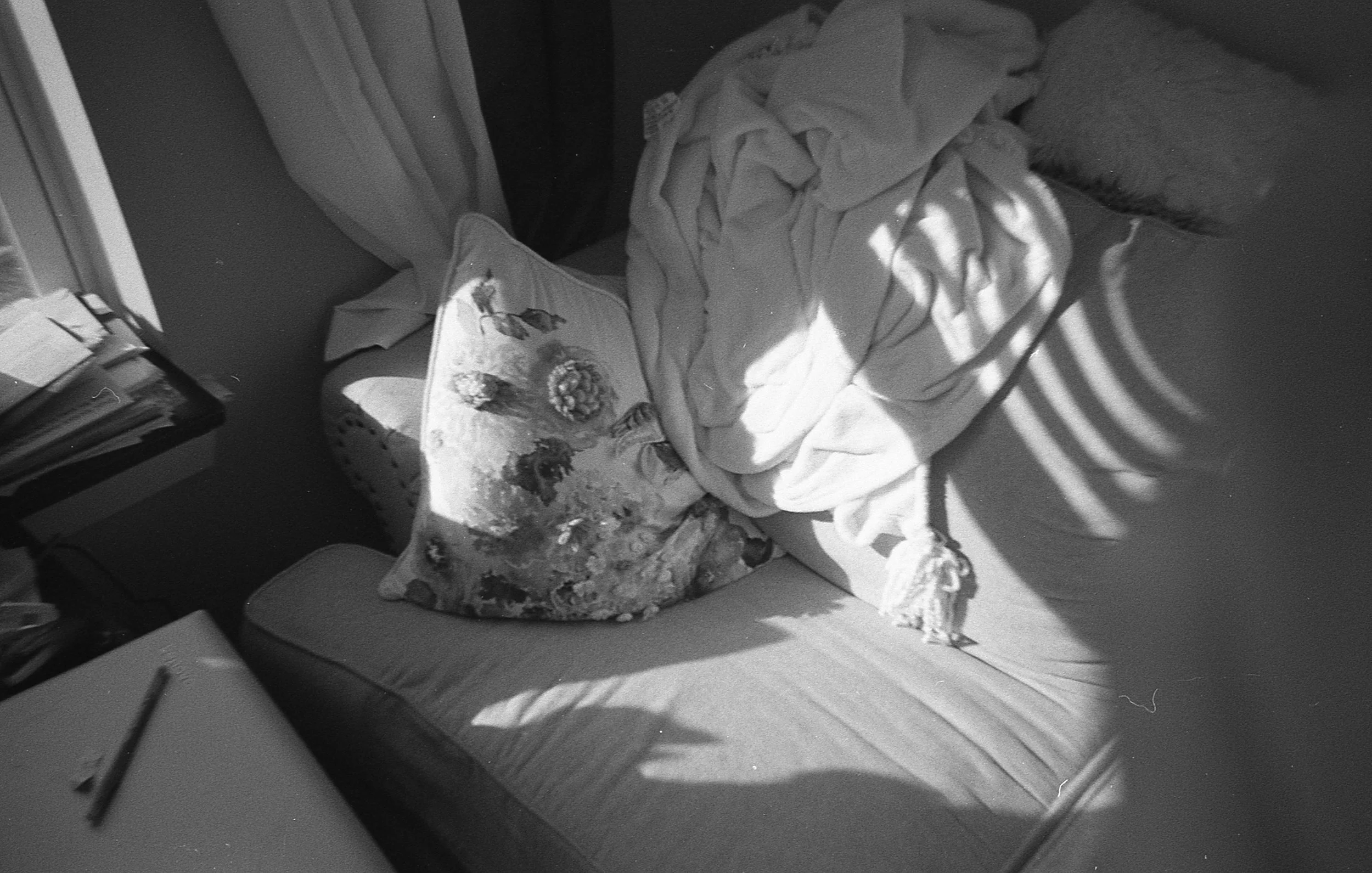 img009.jpg