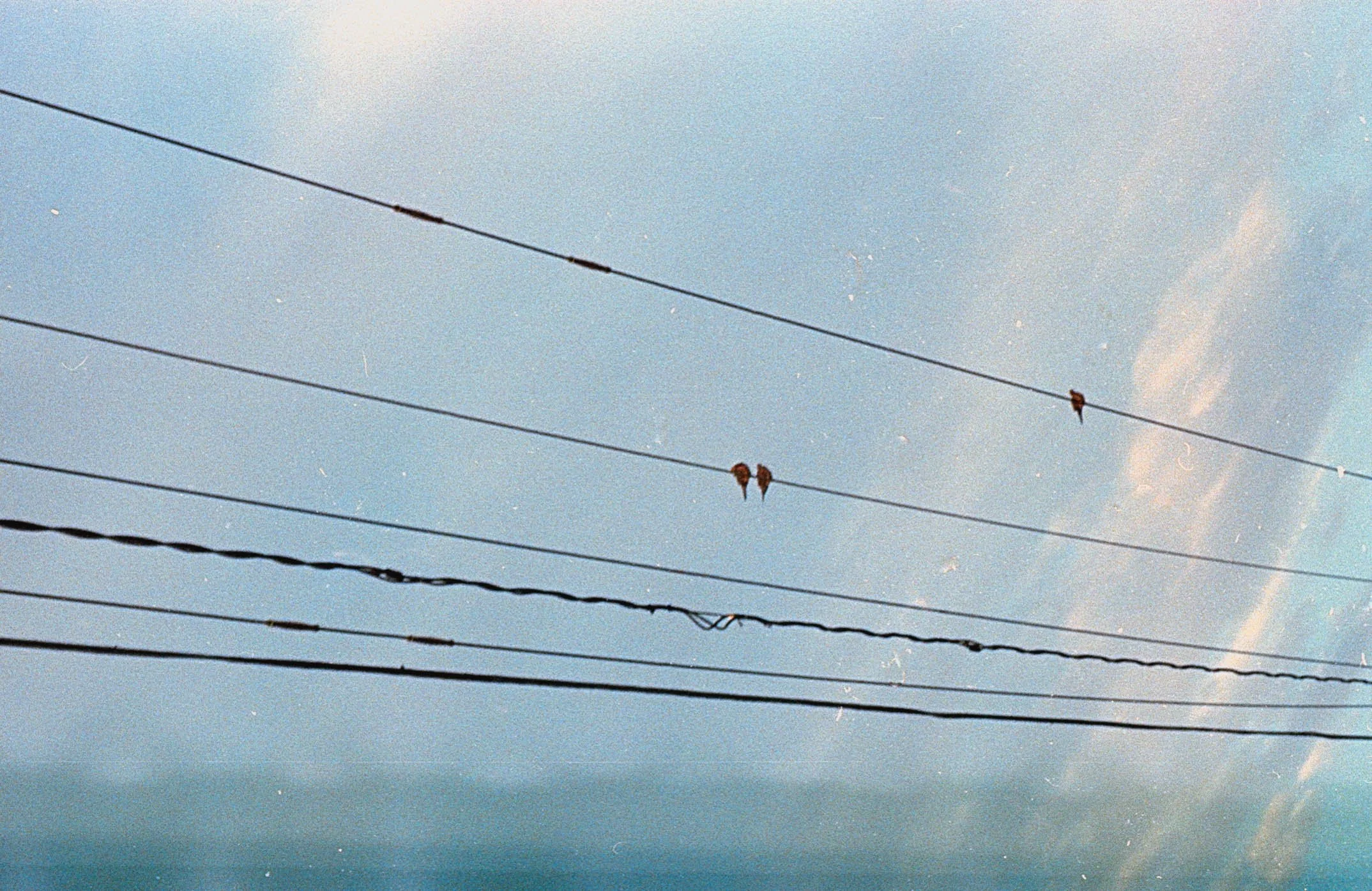 20220501-film23.jpg