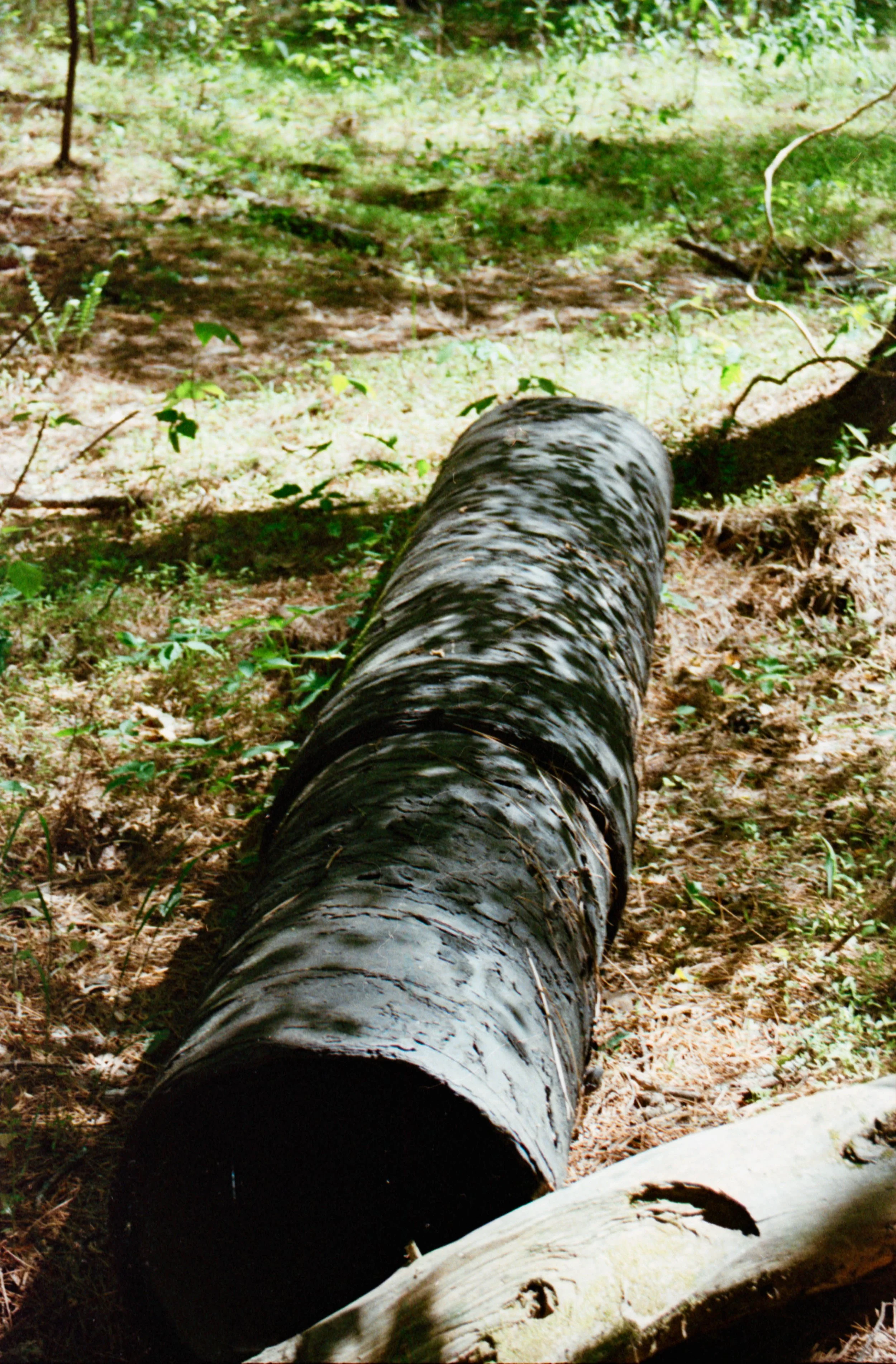 20220501-film006-gamma-1.8.jpg