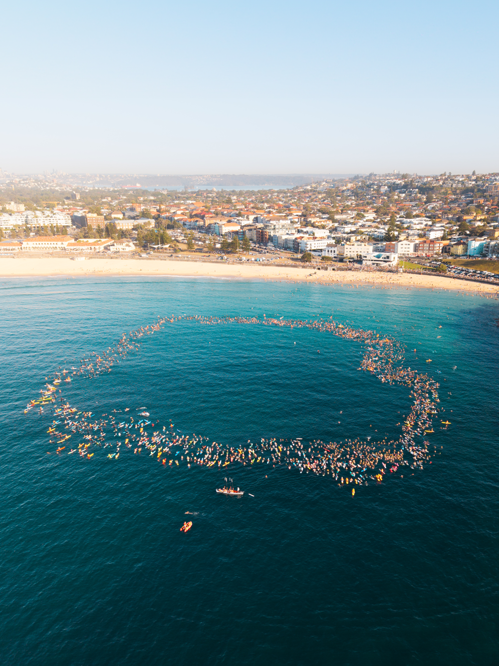 A large group of swimmers forming a circle pattern in the ocean near a sandy beach and a coastal city.
