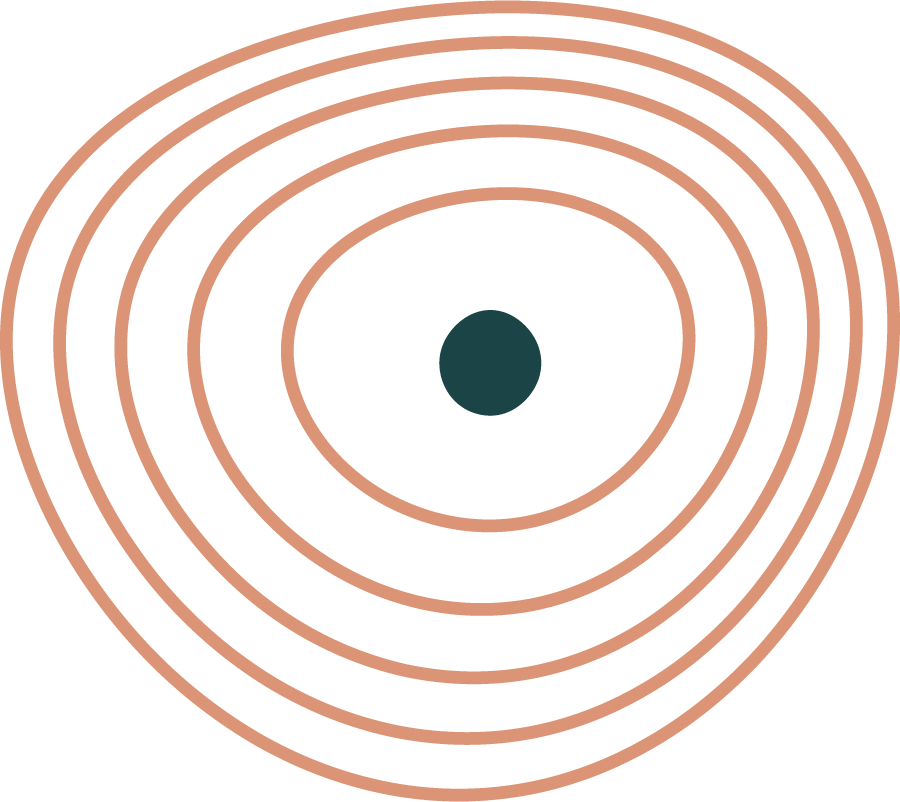 Concentric circles in pink on a black background.