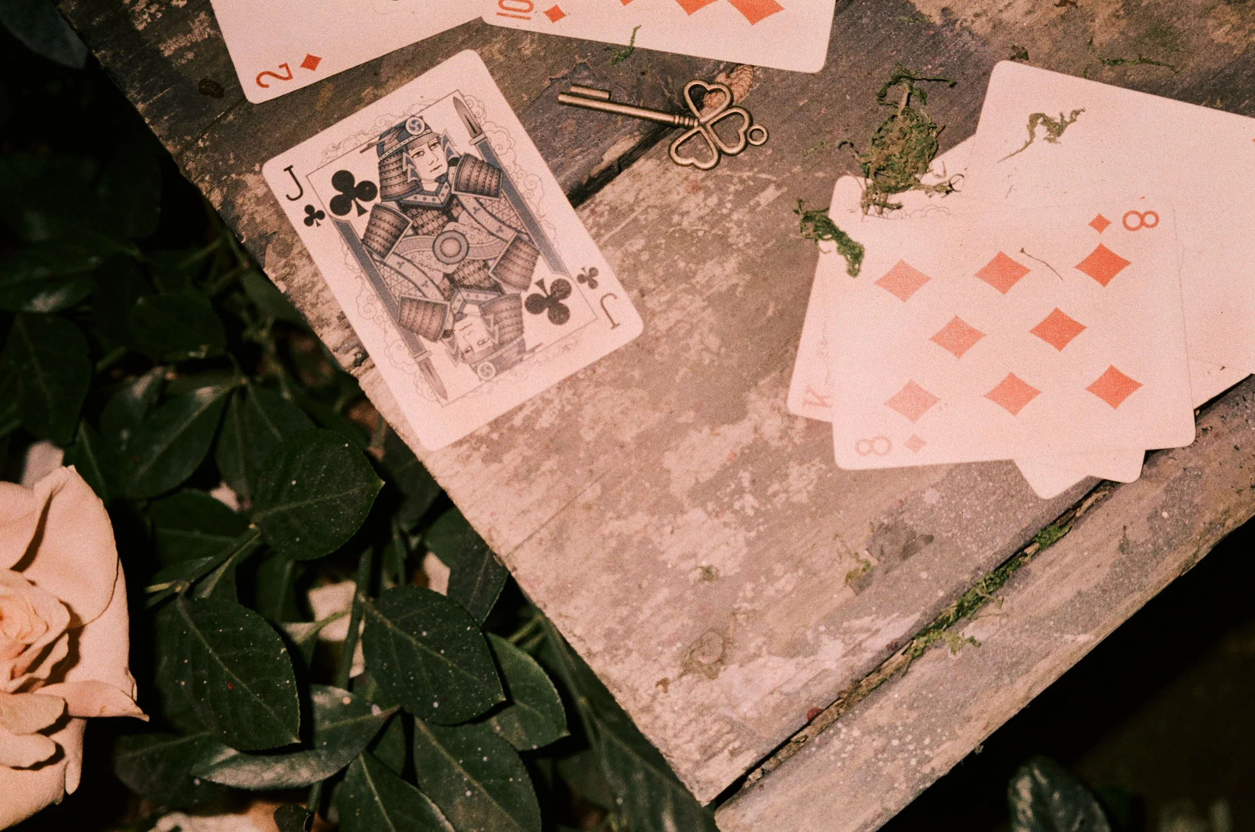 Alice in Wonderland 2024 _6.JPEG