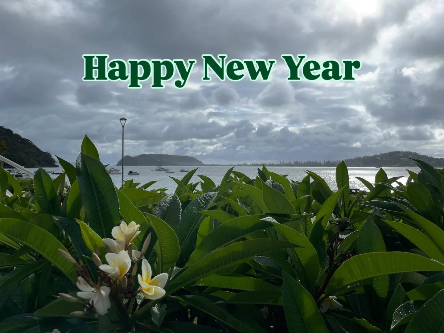 Wishing you peace, love and laughter in the new year.  #switchedonkids #chiropracticforkids #childrenschiropractic