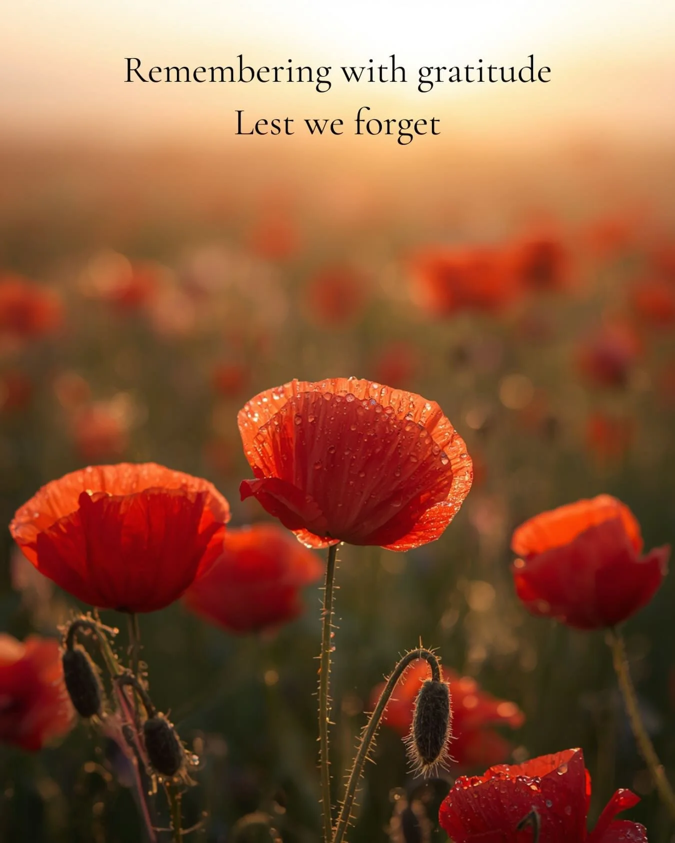 This ANZAC Day, we honour courage, resilience, and service. Qualities that remind us of the strength within each of us&mdash;and the importance of supporting one another through life&rsquo;s challenges. Grateful for our community today and always. Le