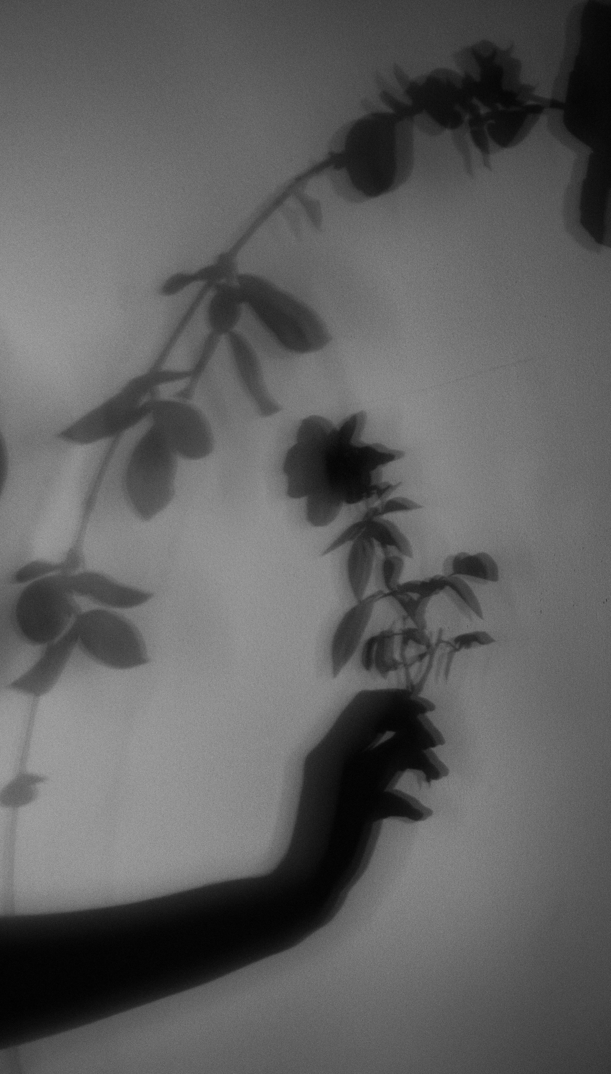 DSC_0719.jpeg