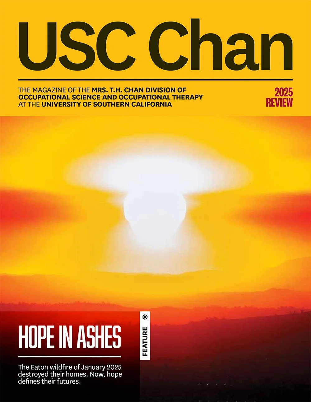 USC Chan Alumni Q &amp; A
