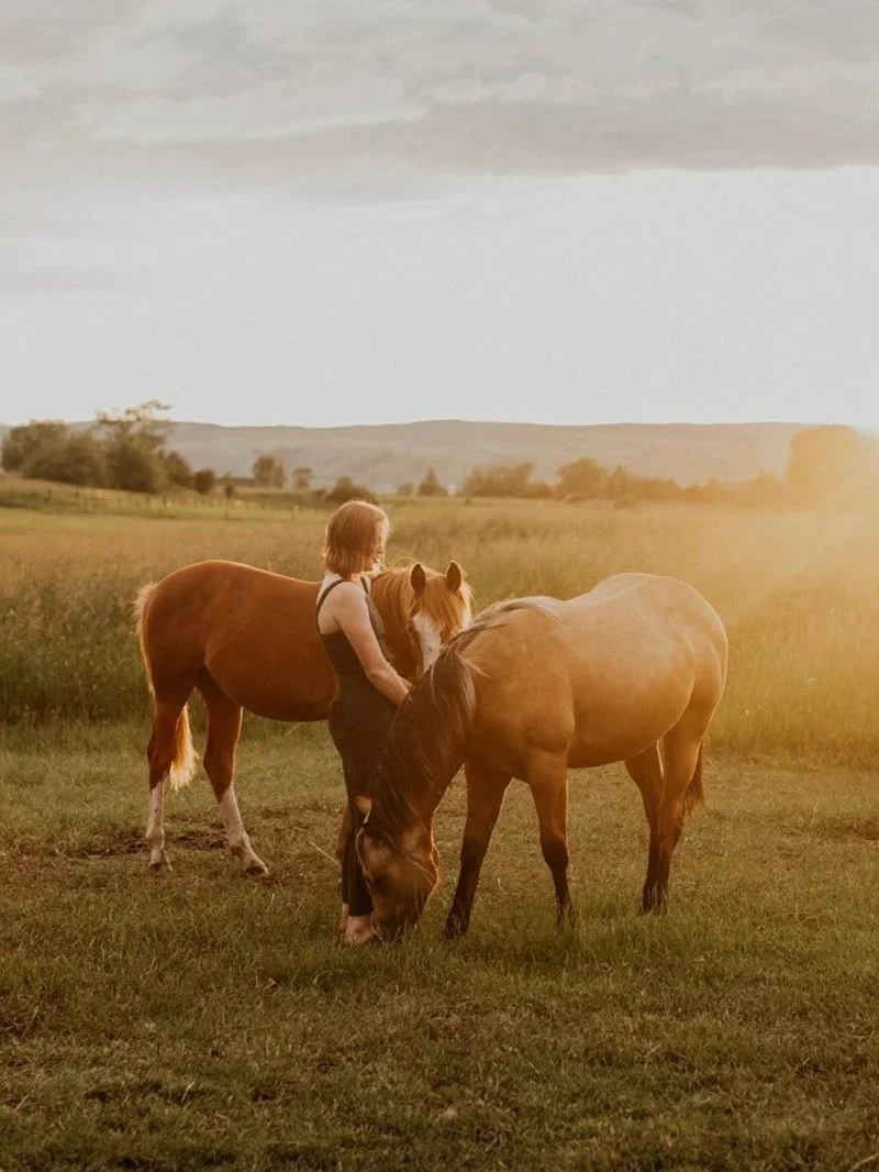 Golden senior portraits on the farm